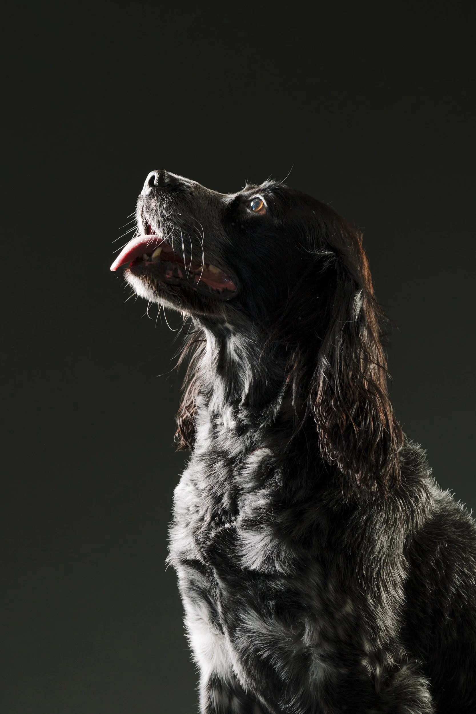 MHP_Hartley Jasper_04.jpg