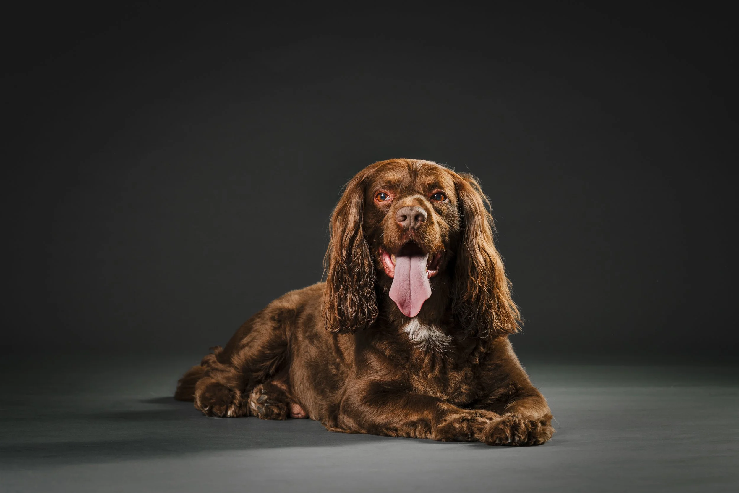 MHP_Hartley Jasper_07.jpg