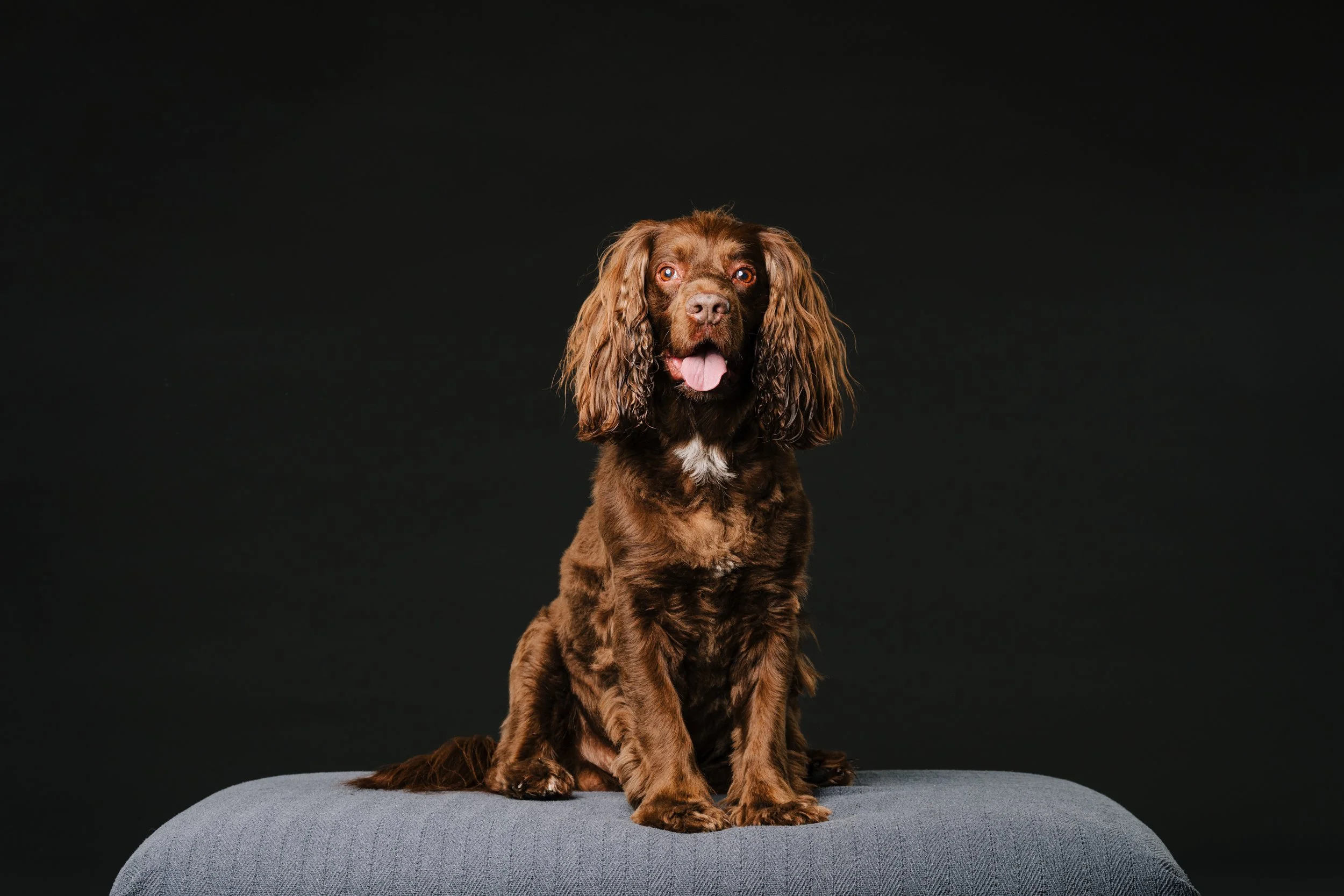 MHP_Hartley Jasper_01.jpg