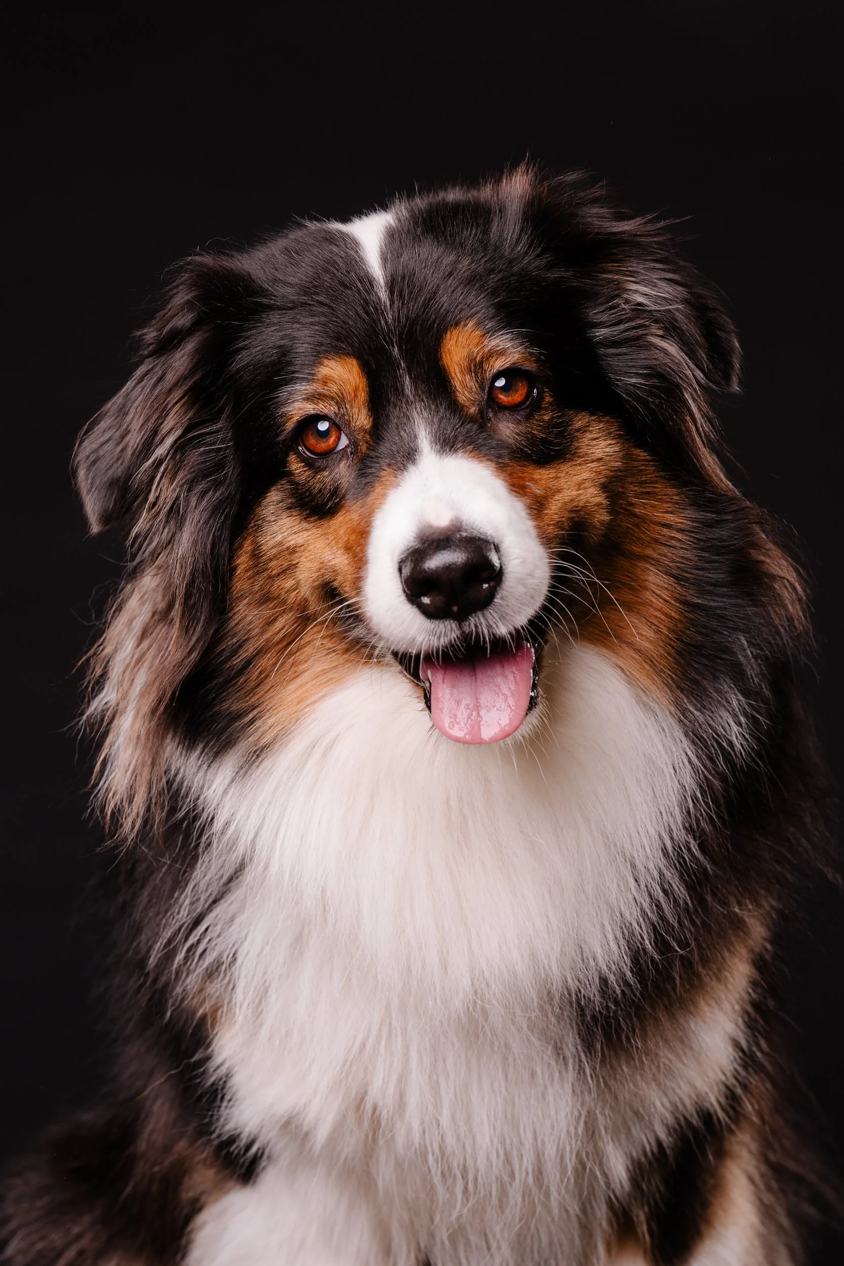 260331_Dizzy Milo_006.jpg