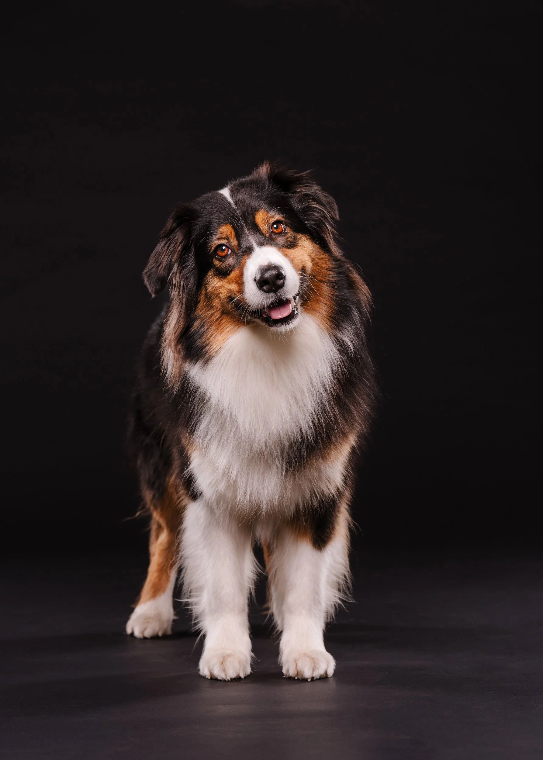 260331_Dizzy Milo_009.jpg