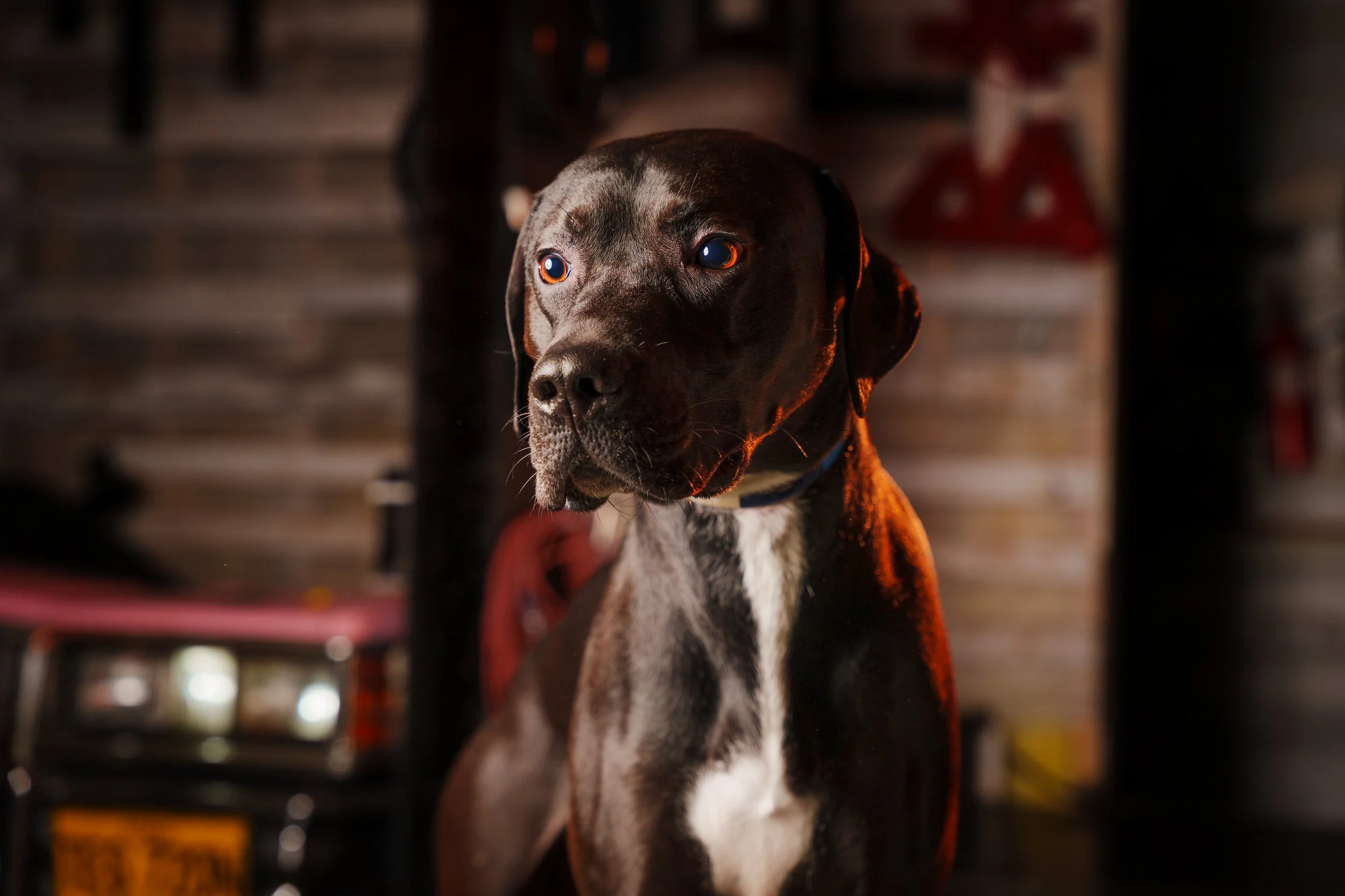 260101_Mark Holland Photography_504.jpg