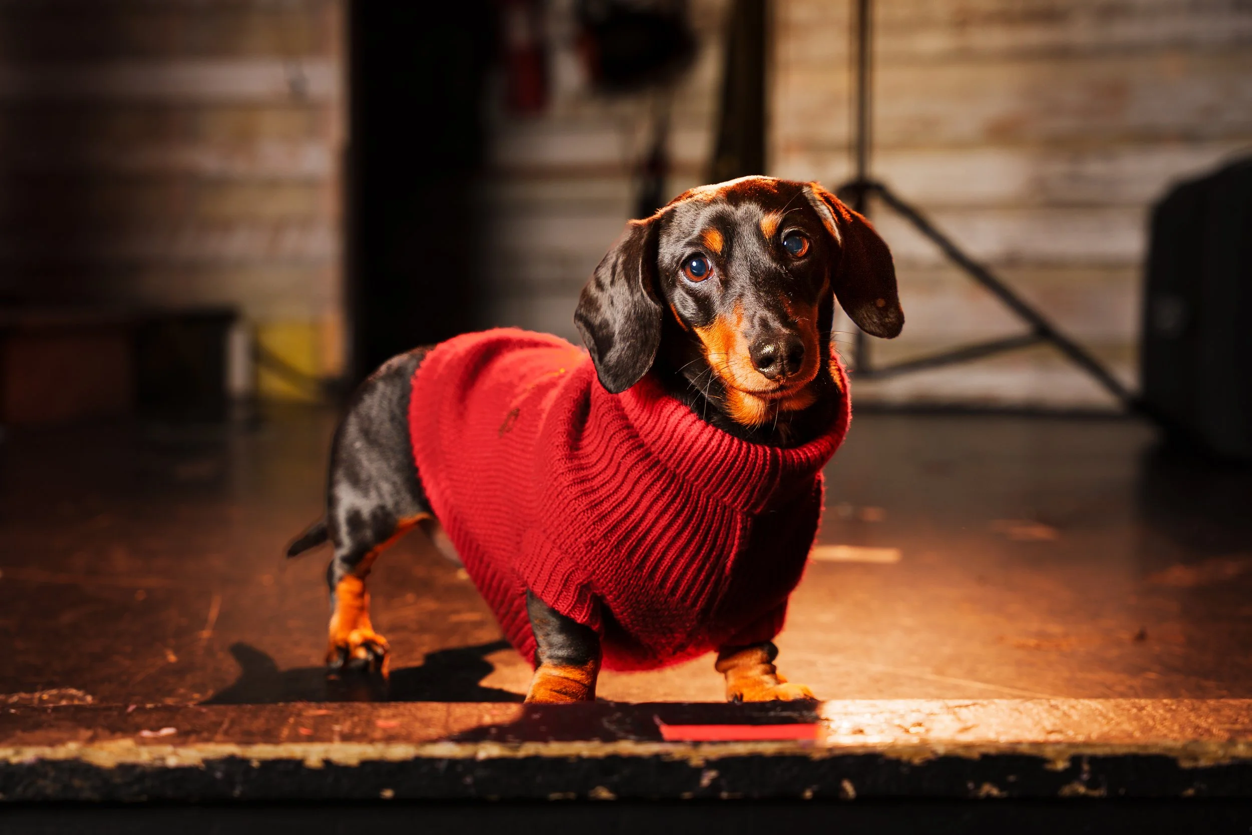 260101_Mark Holland Photography_480.jpg