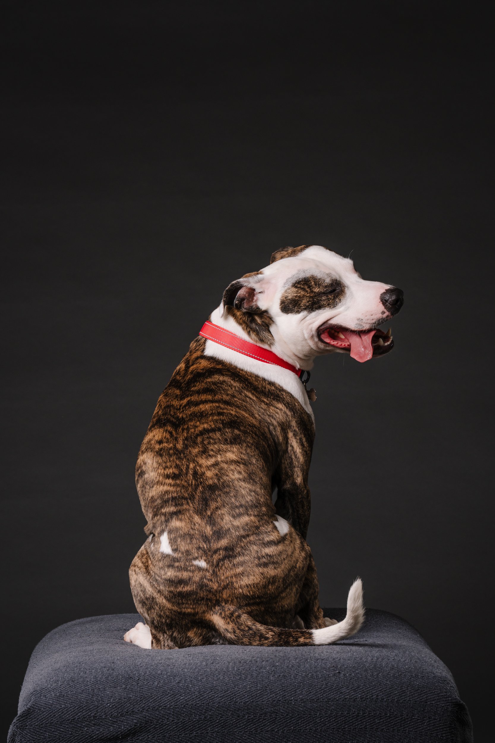 MHP_Riley_04.jpg