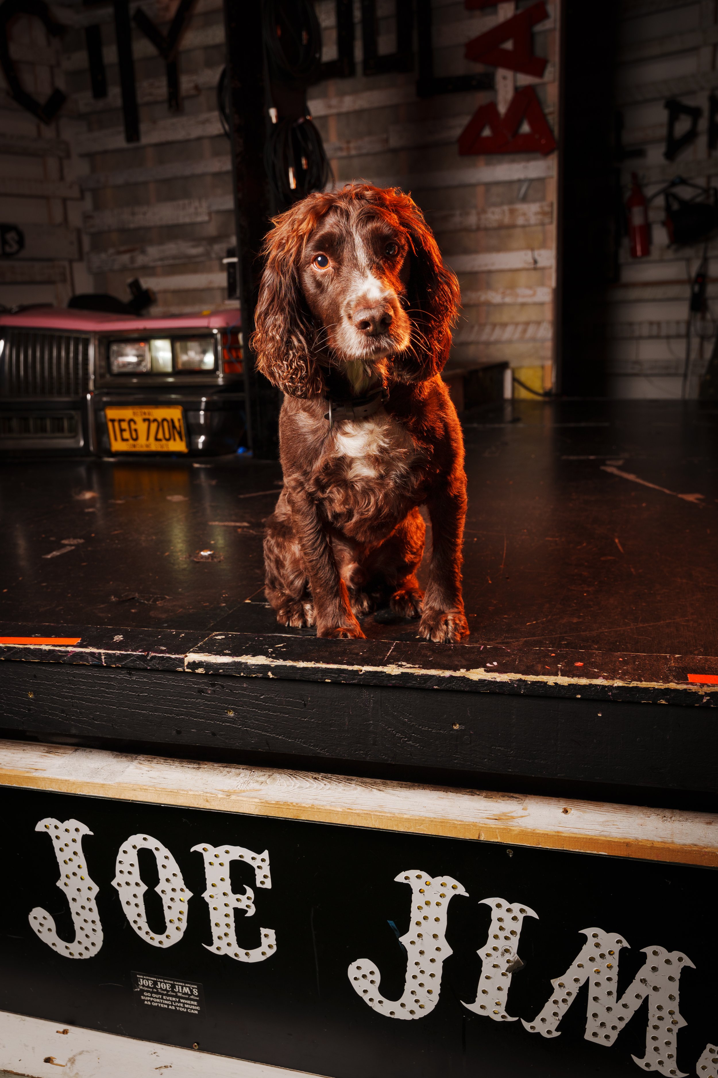 260101_Mark Holland Photography_202.jpg