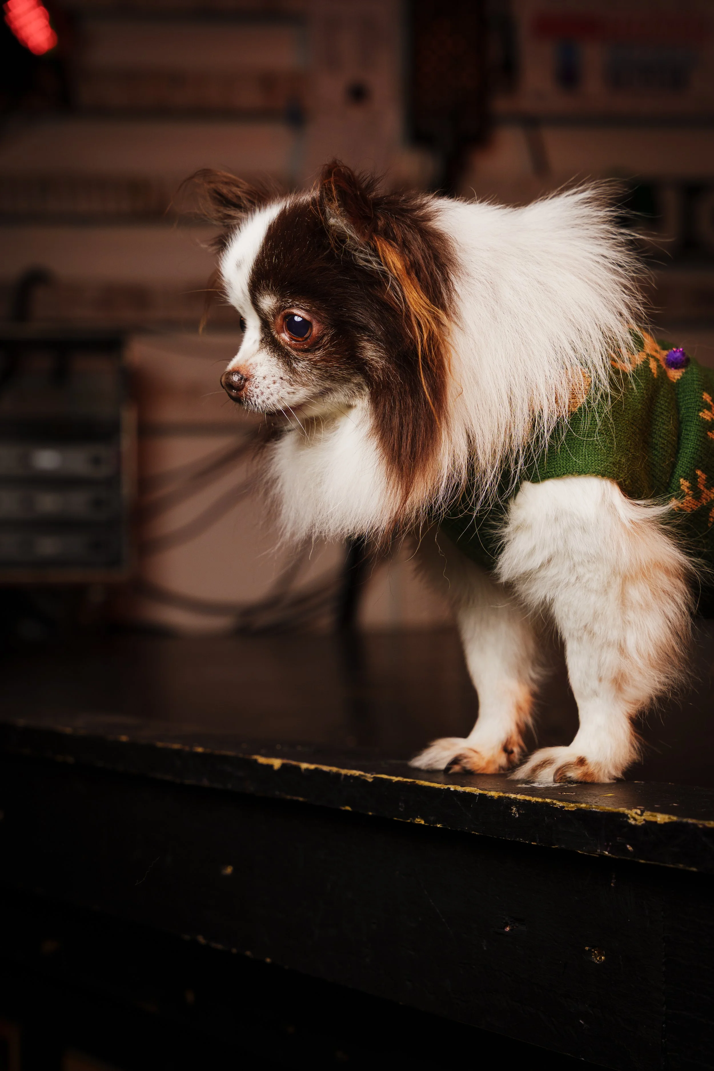 260101_Mark Holland Photography_105.jpg