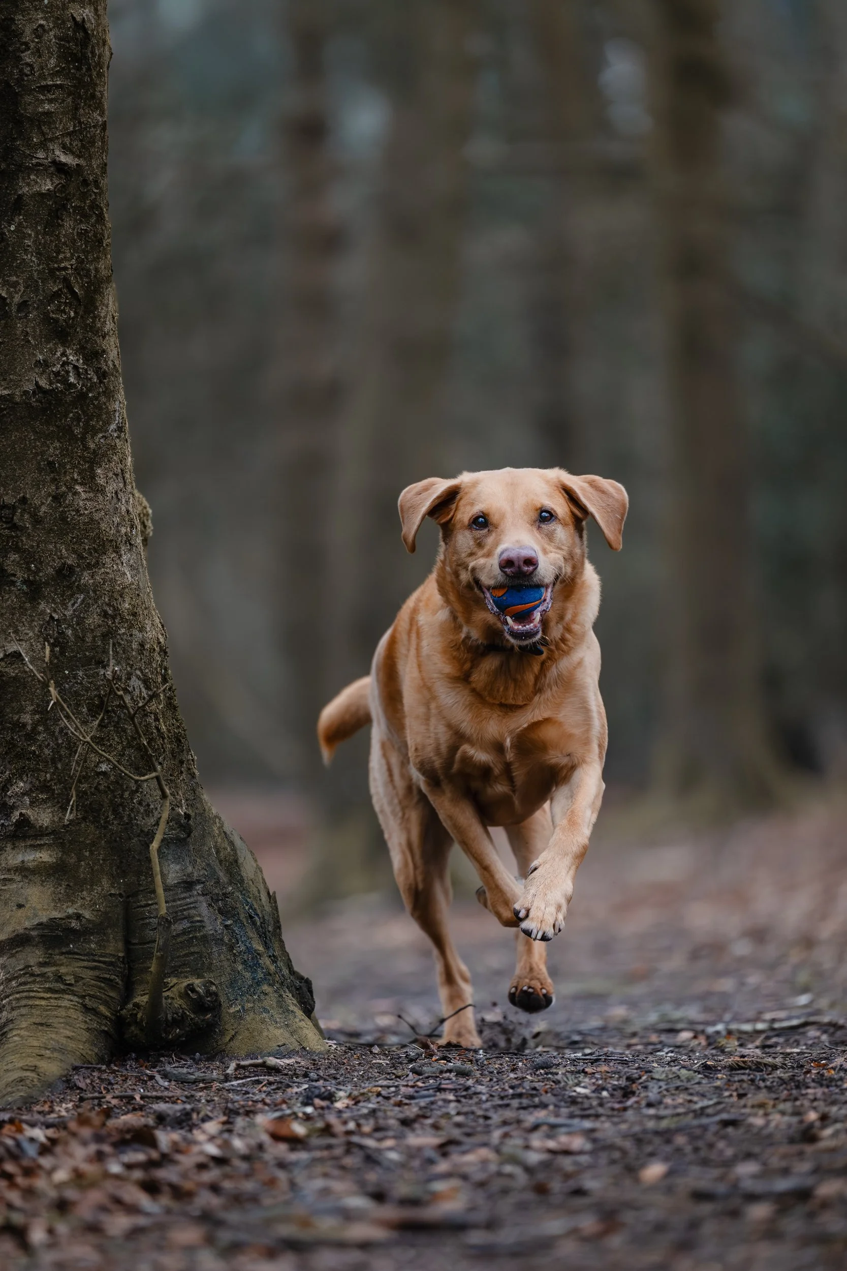 260404_Mates walk_168.jpg
