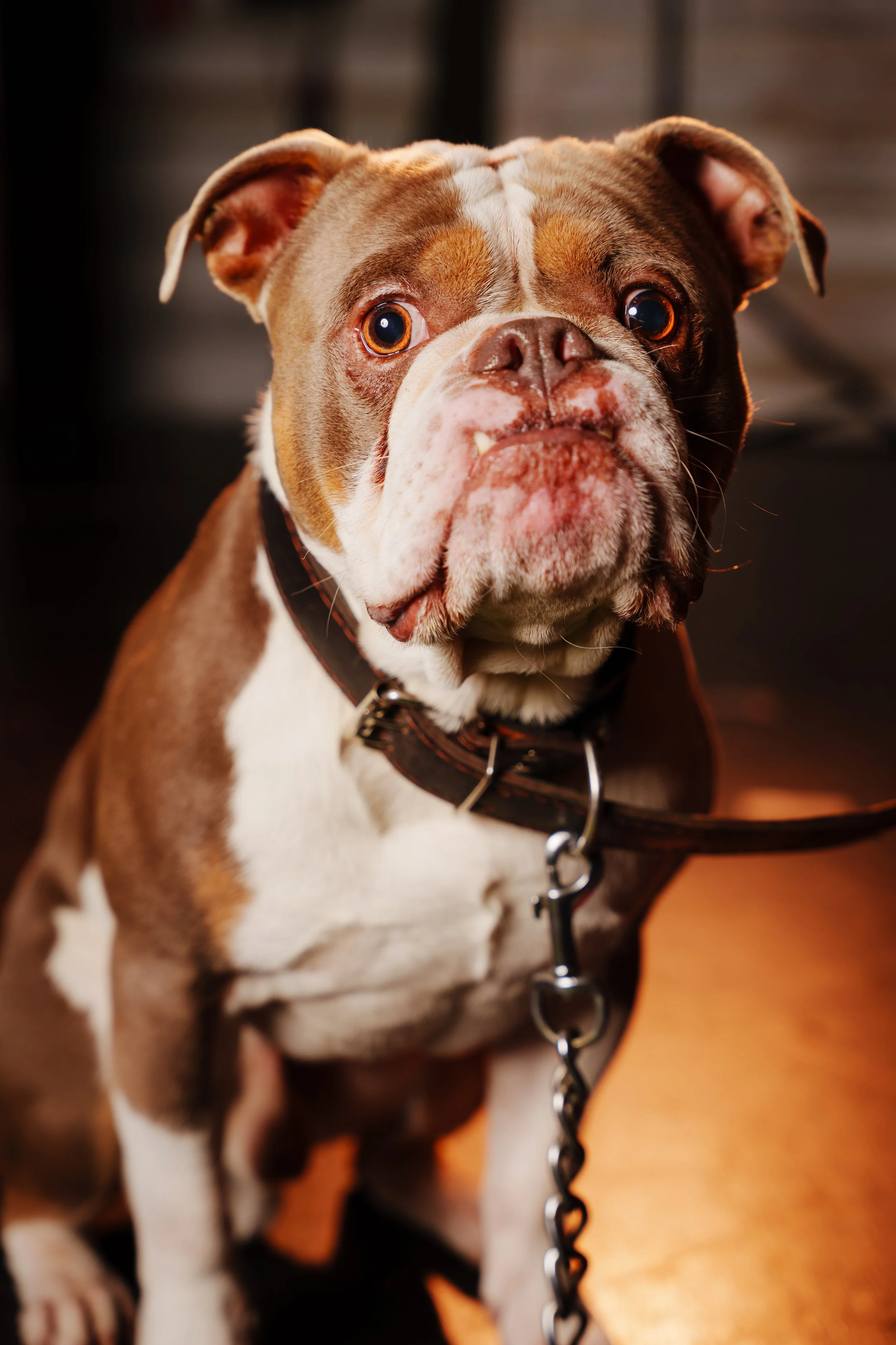 260101_Mark Holland Photography_329.jpg