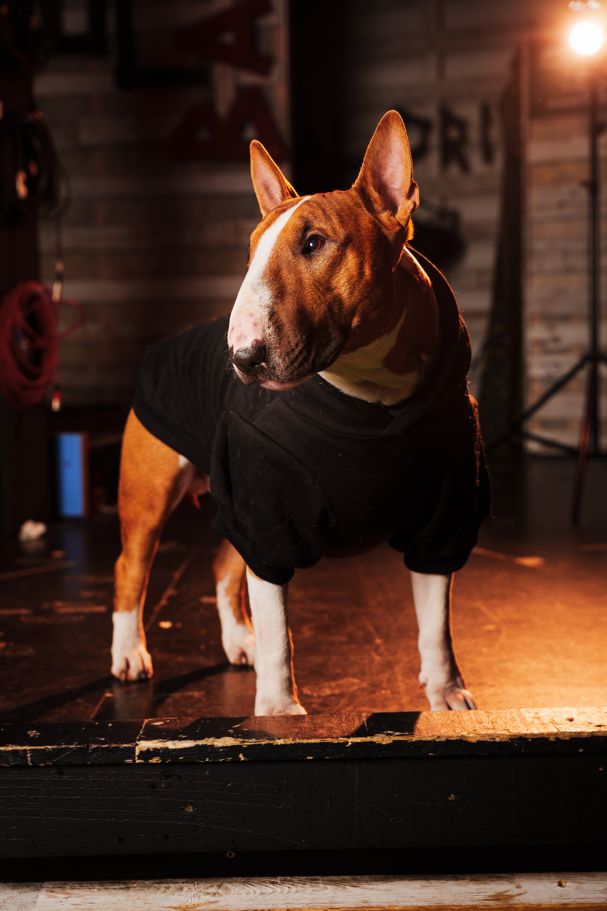 260101_Mark Holland Photography_273.jpg