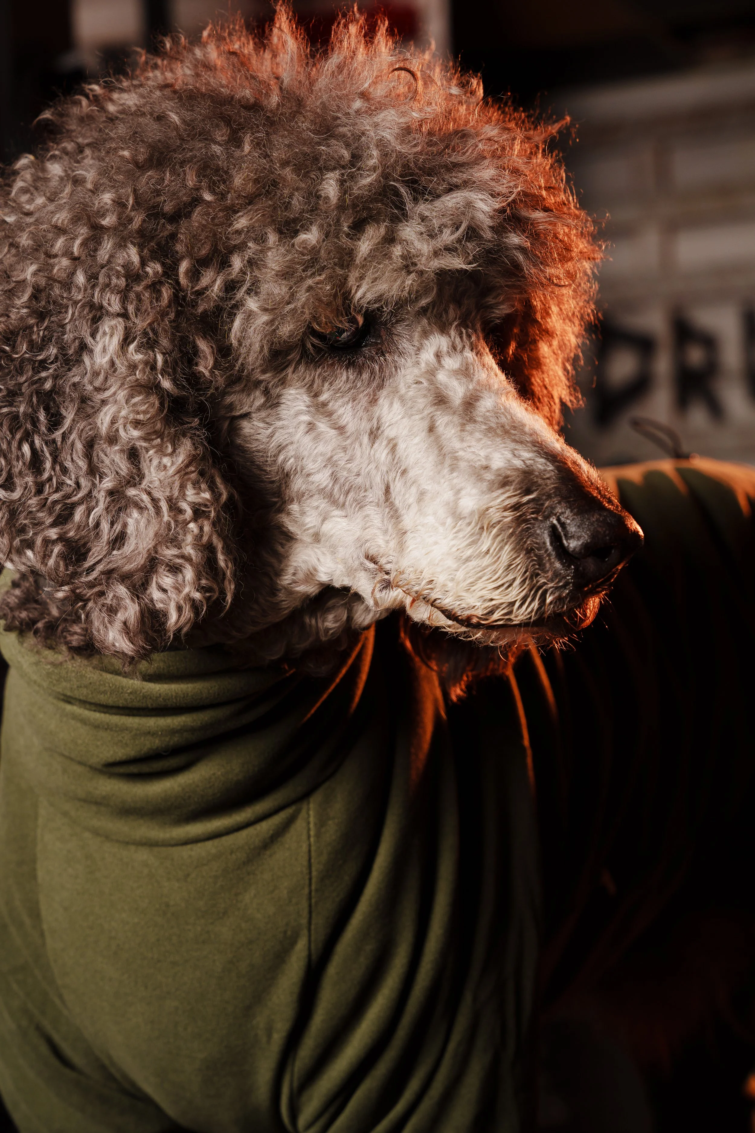 260101_Mark Holland Photography_208.jpg