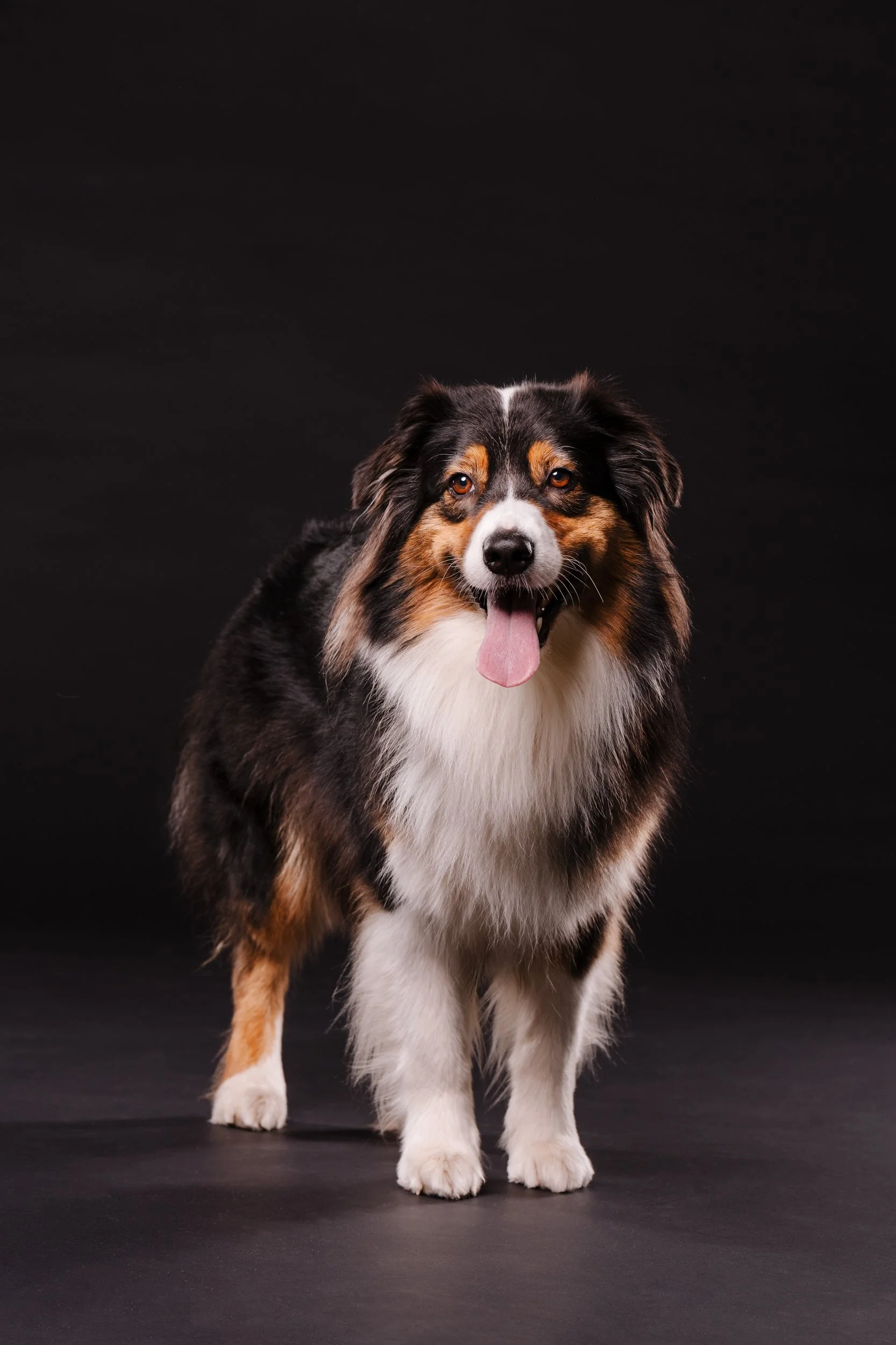 260331_Dizzy Milo_010.jpg