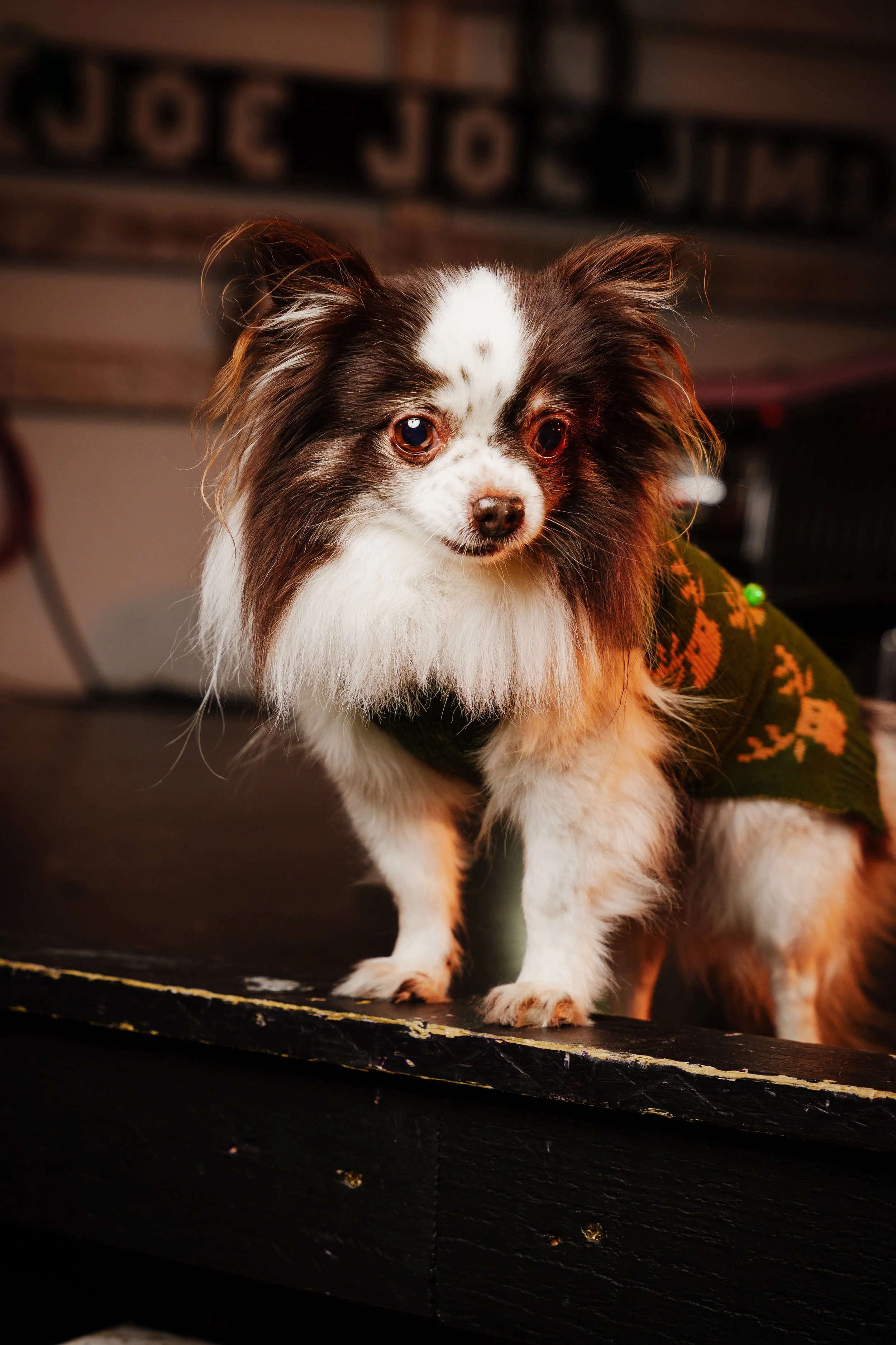 260101_Mark Holland Photography_127.jpg