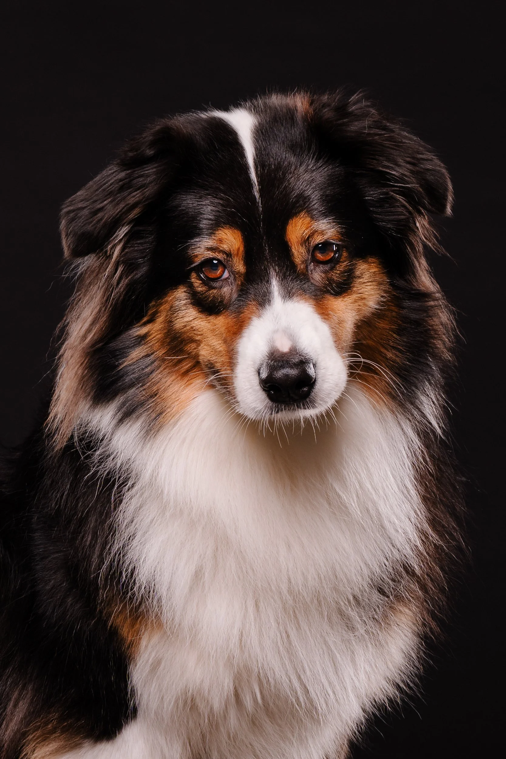 260331_Dizzy Milo_014.jpg