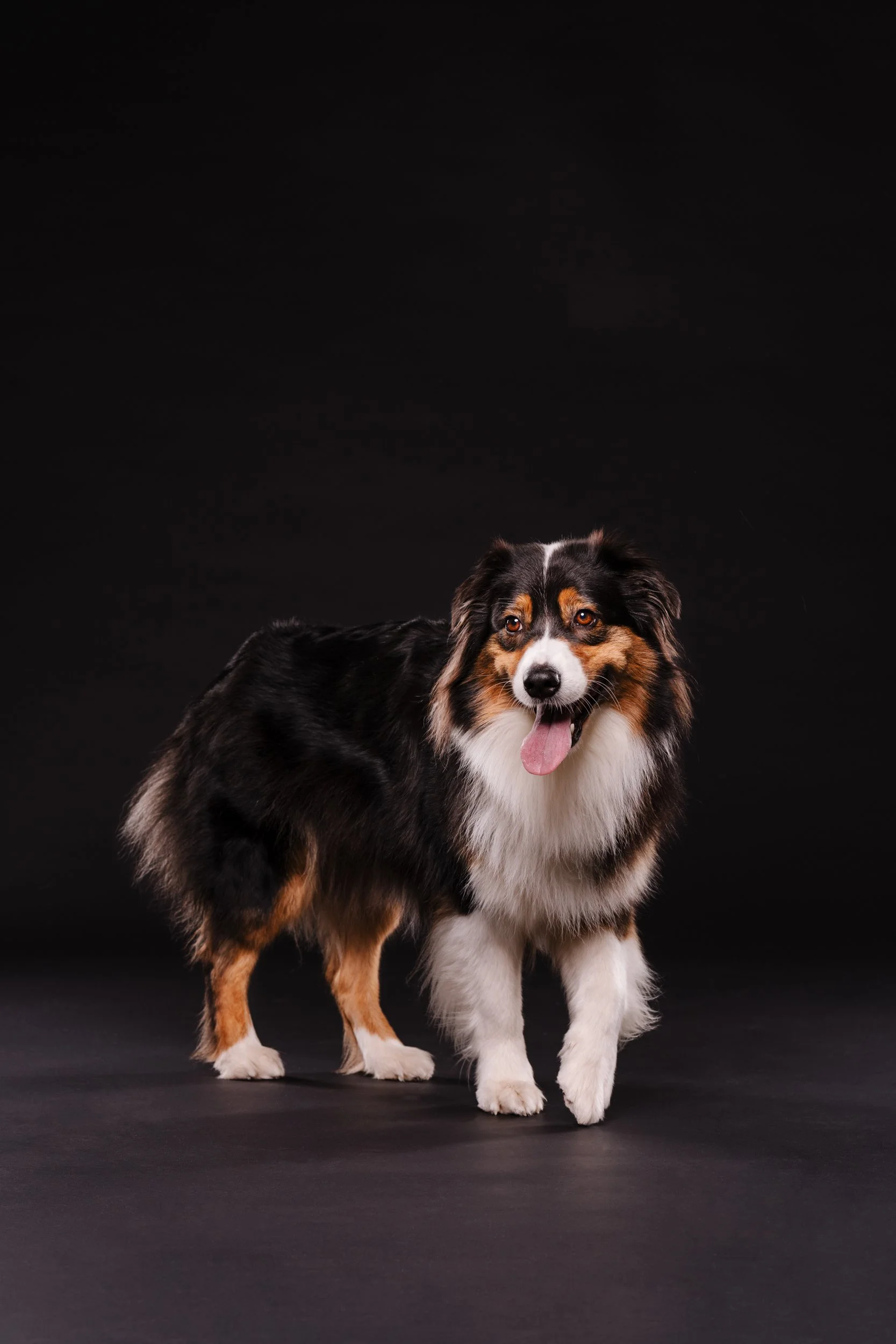 260331_Dizzy Milo_011.jpg