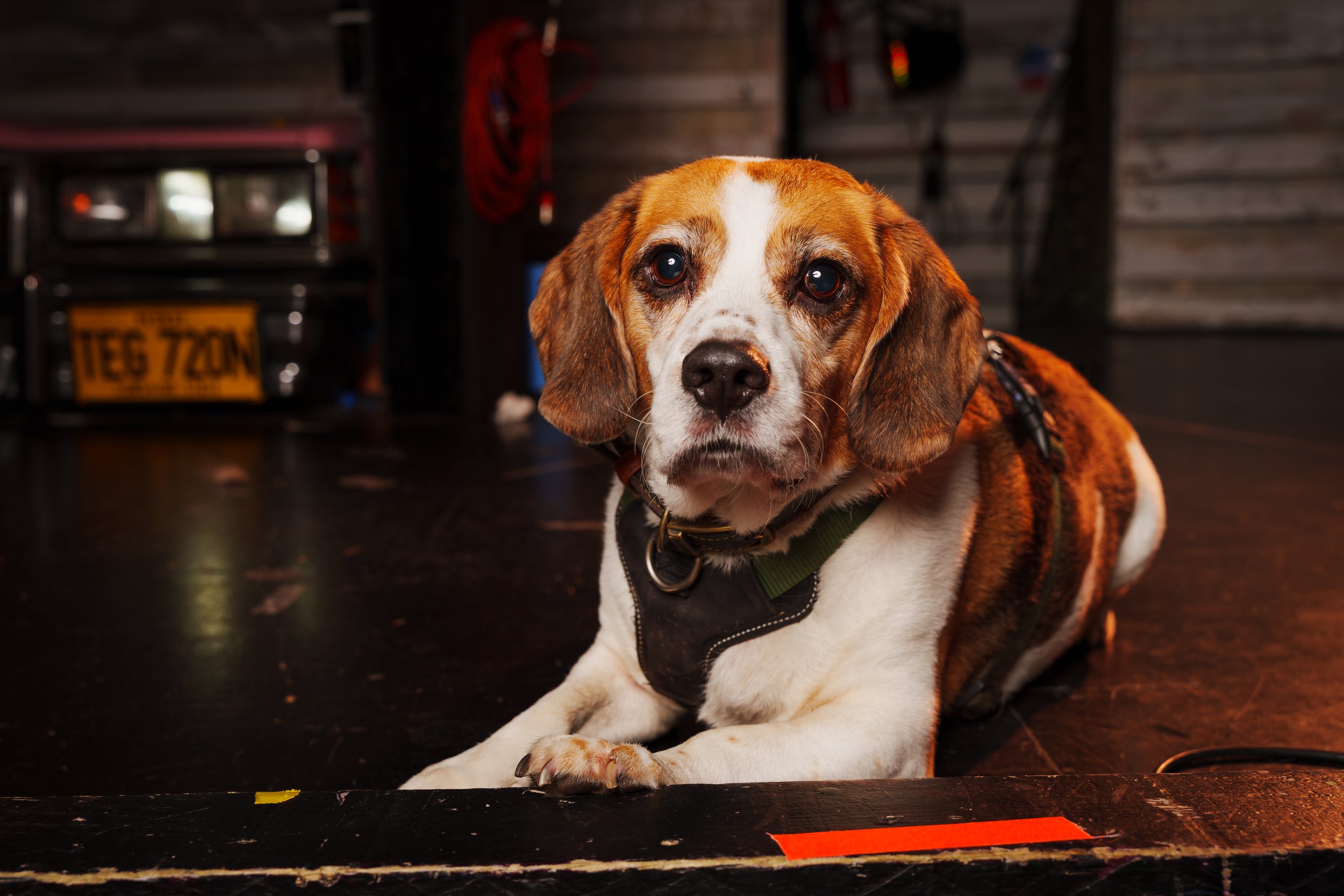 260101_Mark Holland Photography_169.jpg