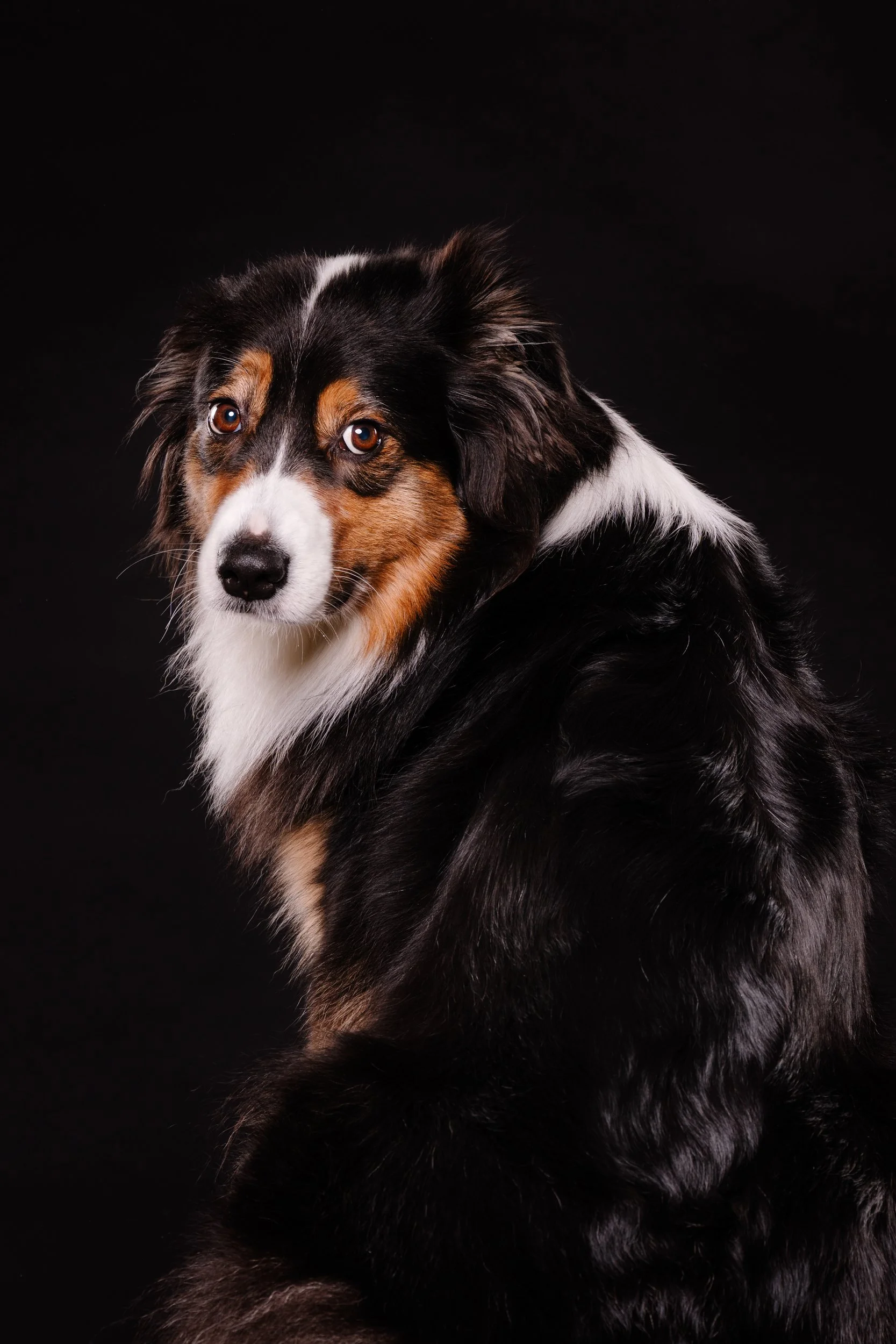 260331_Dizzy Milo_017.jpg