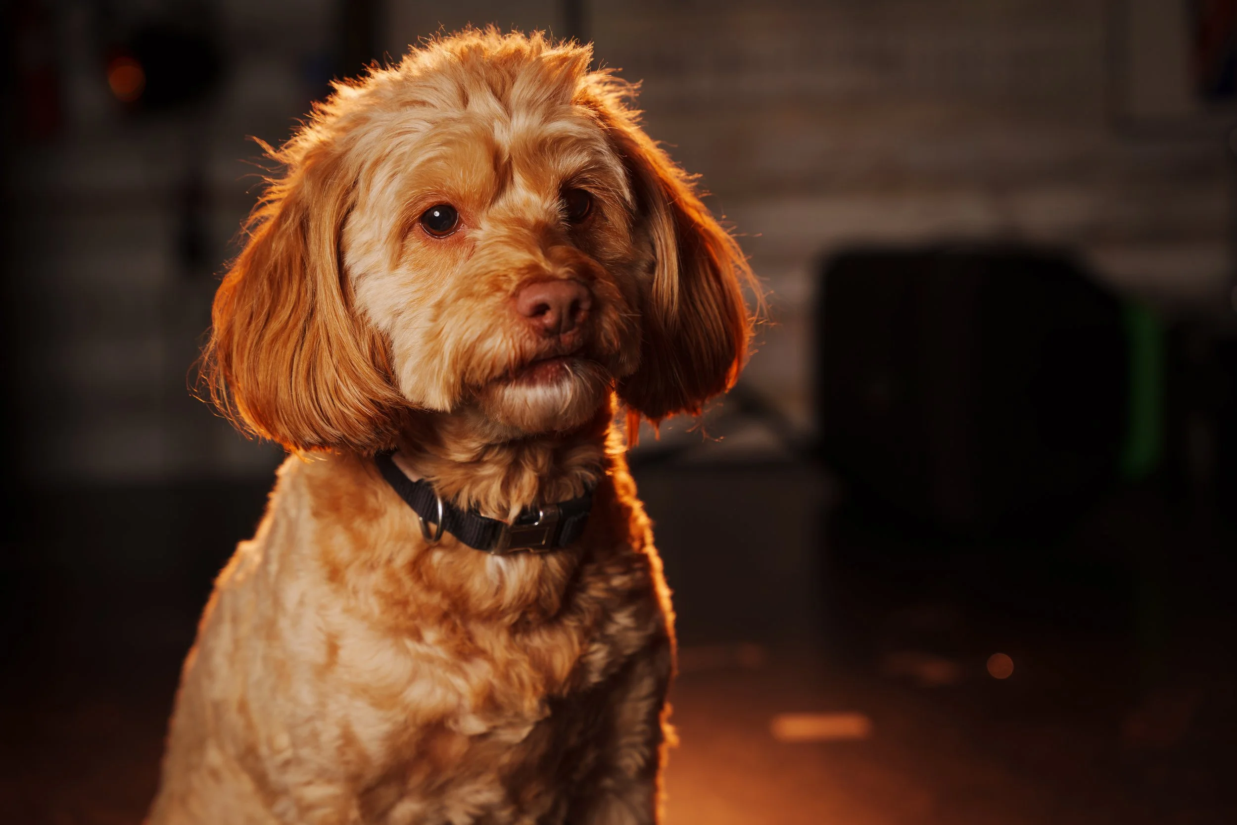 260101_Mark Holland Photography_242.jpg