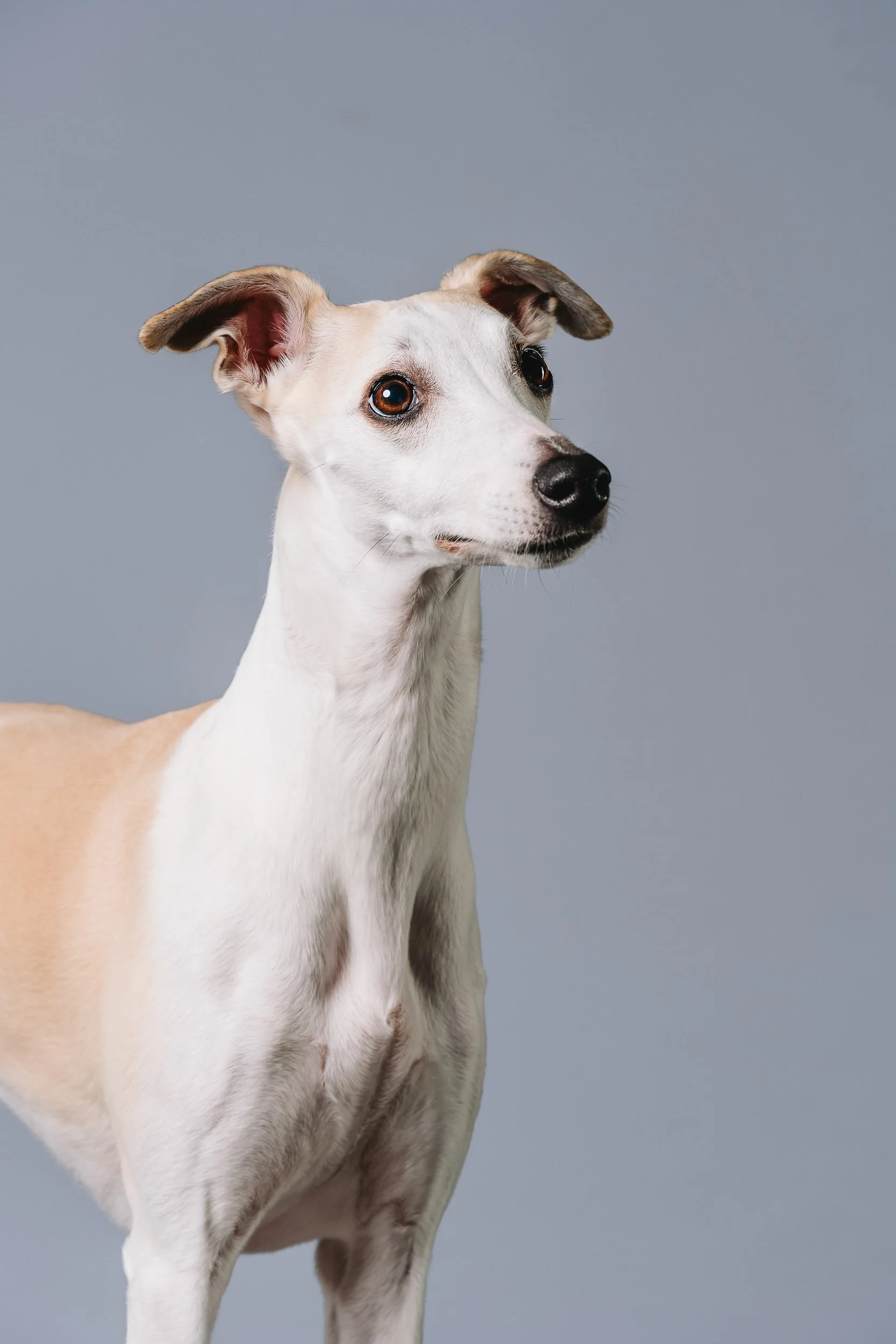 260125_Grace Amelie Raisin_024.jpg