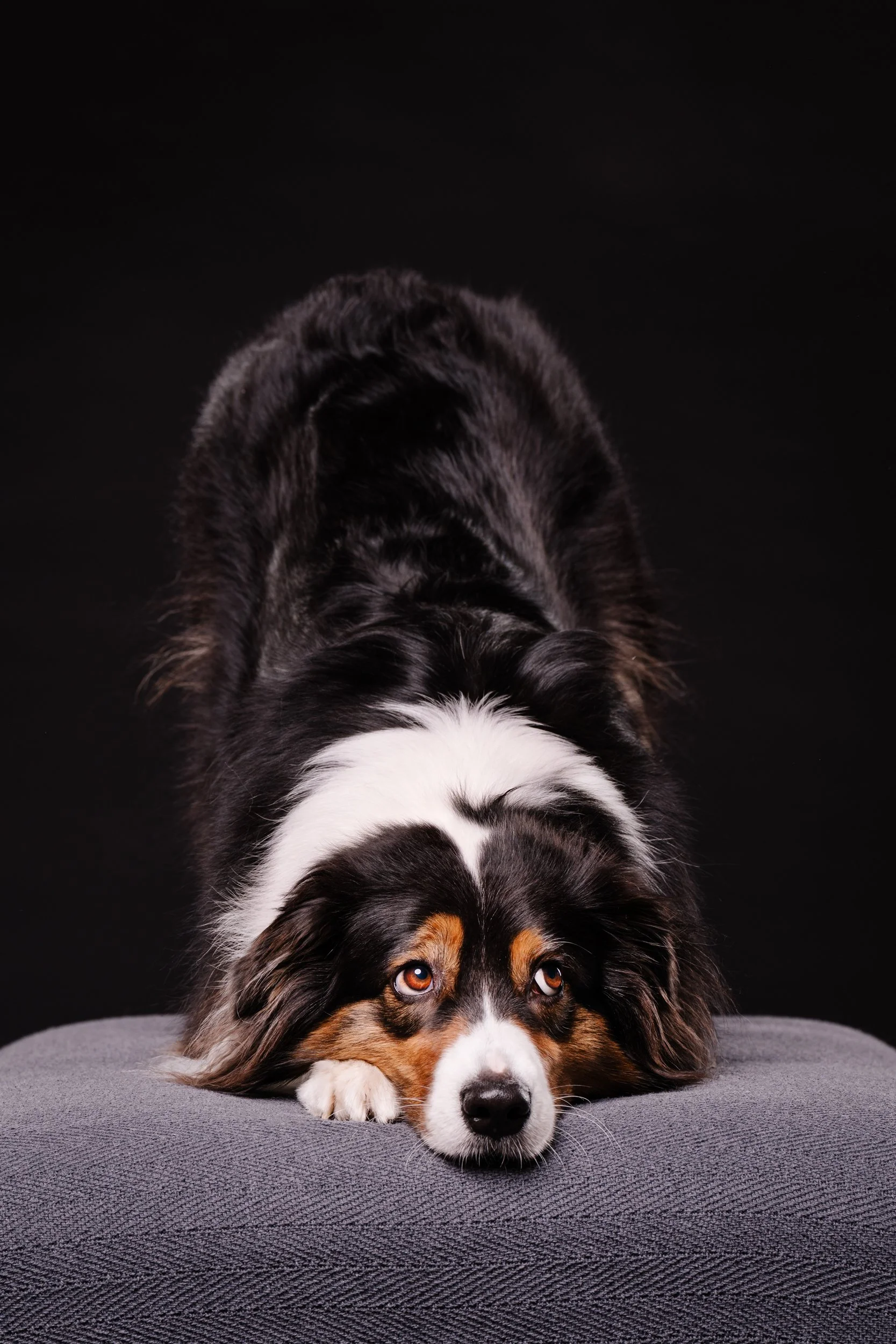 260331_Dizzy Milo_016.jpg