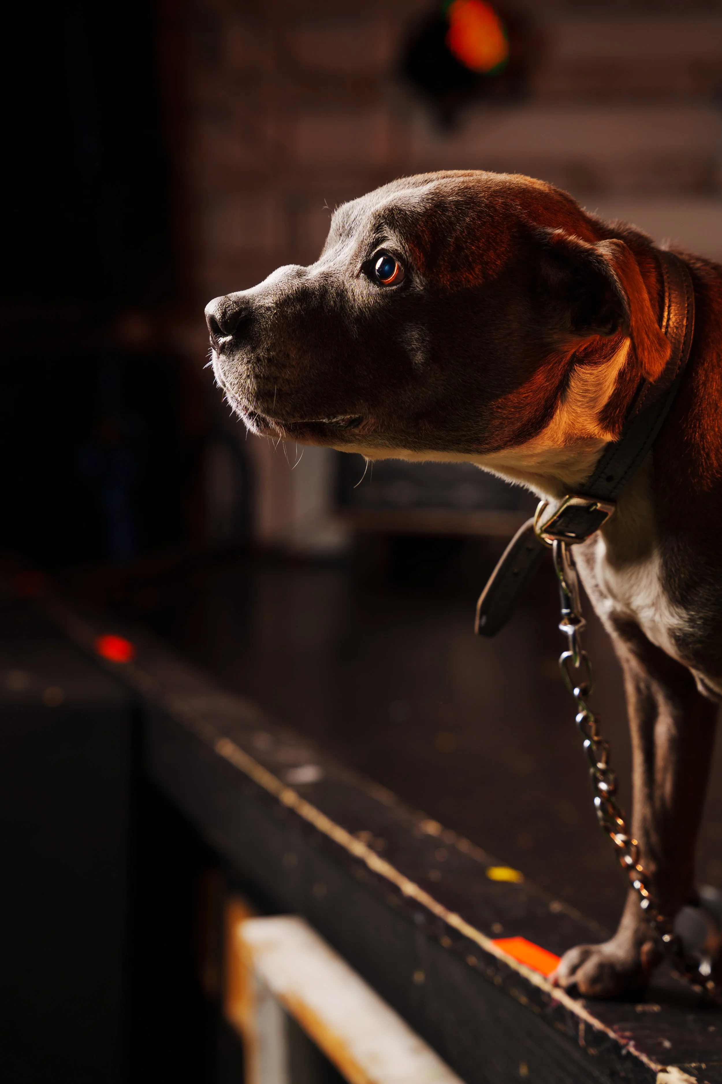 260101_Mark Holland Photography_317.jpg