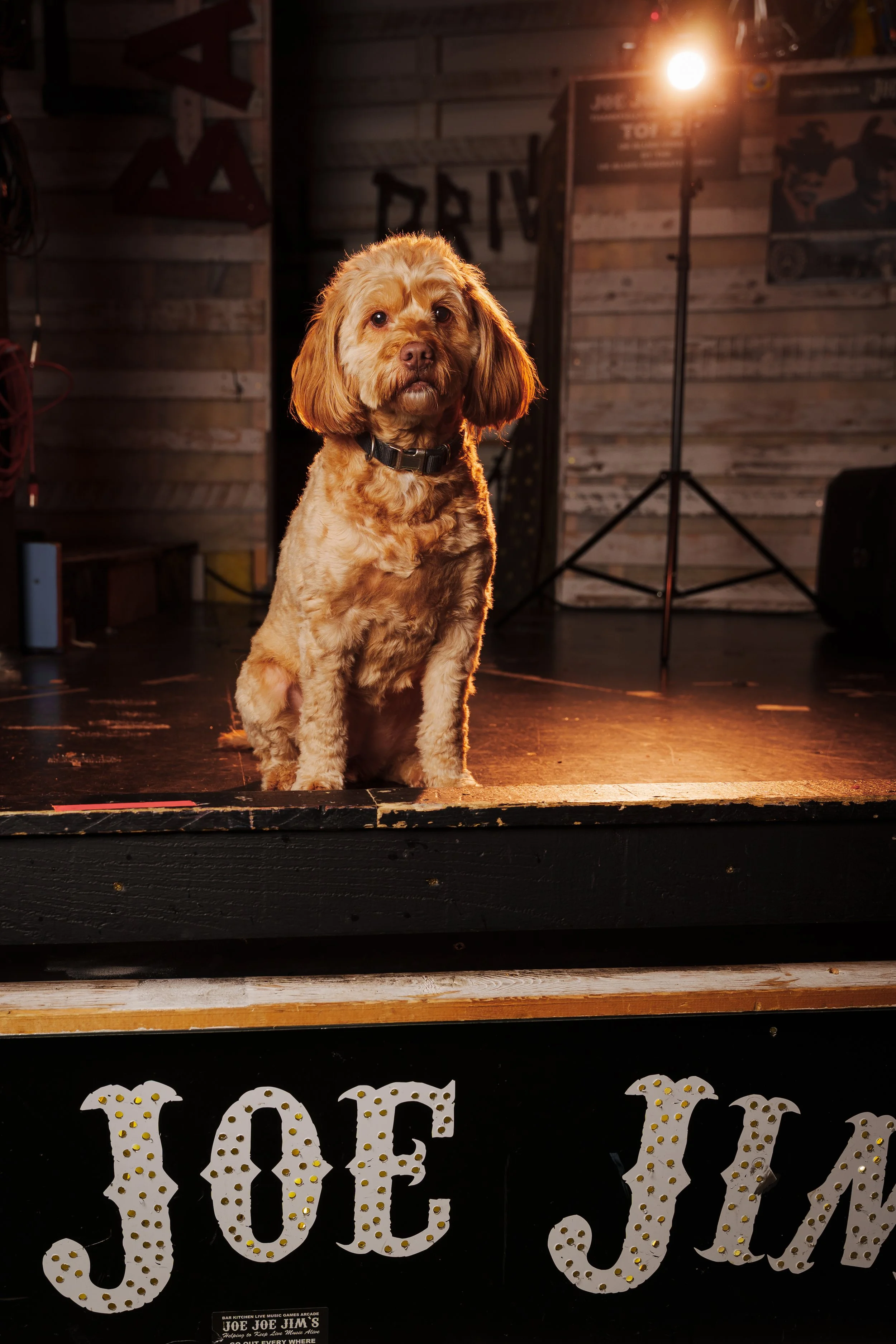 260101_Mark Holland Photography_246.jpg