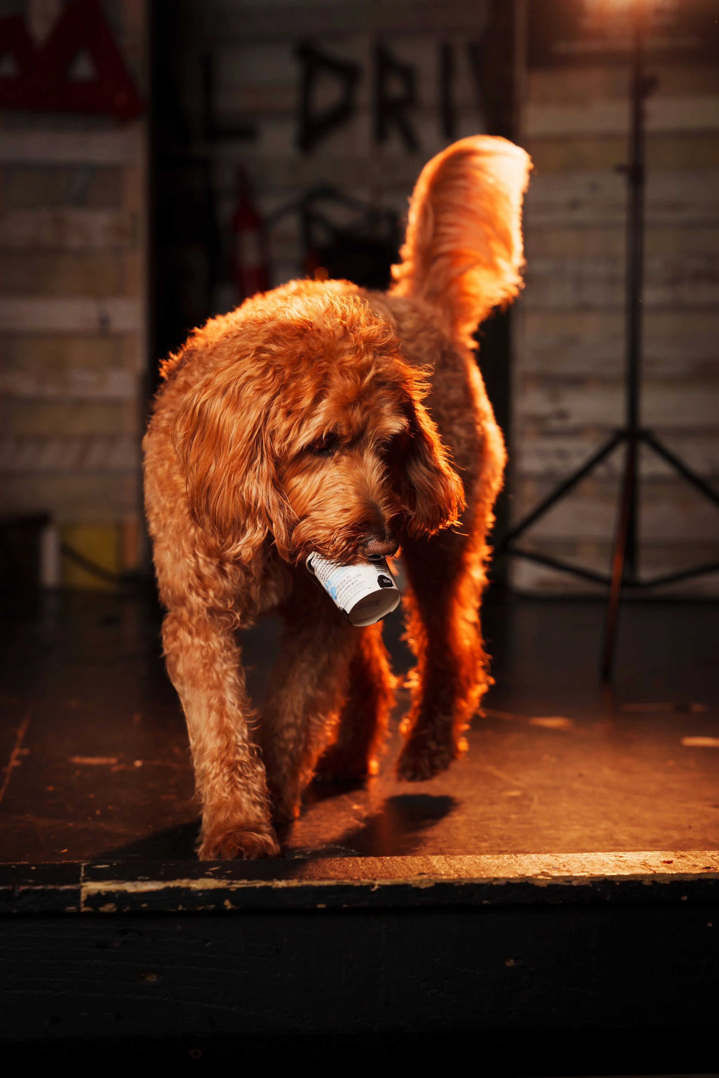 260101_Mark Holland Photography_402.jpg