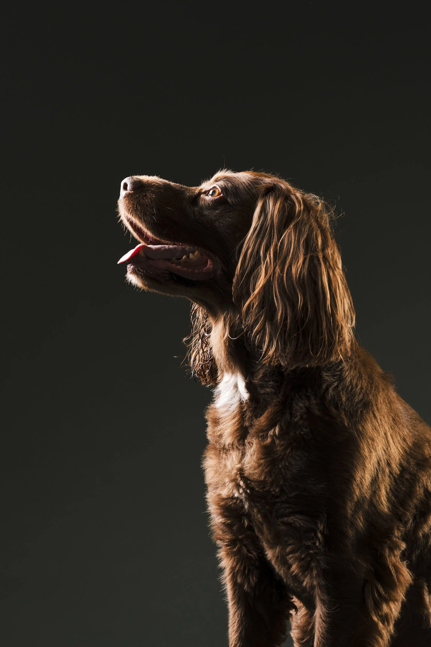 MHP_Hartley Jasper_03.jpg