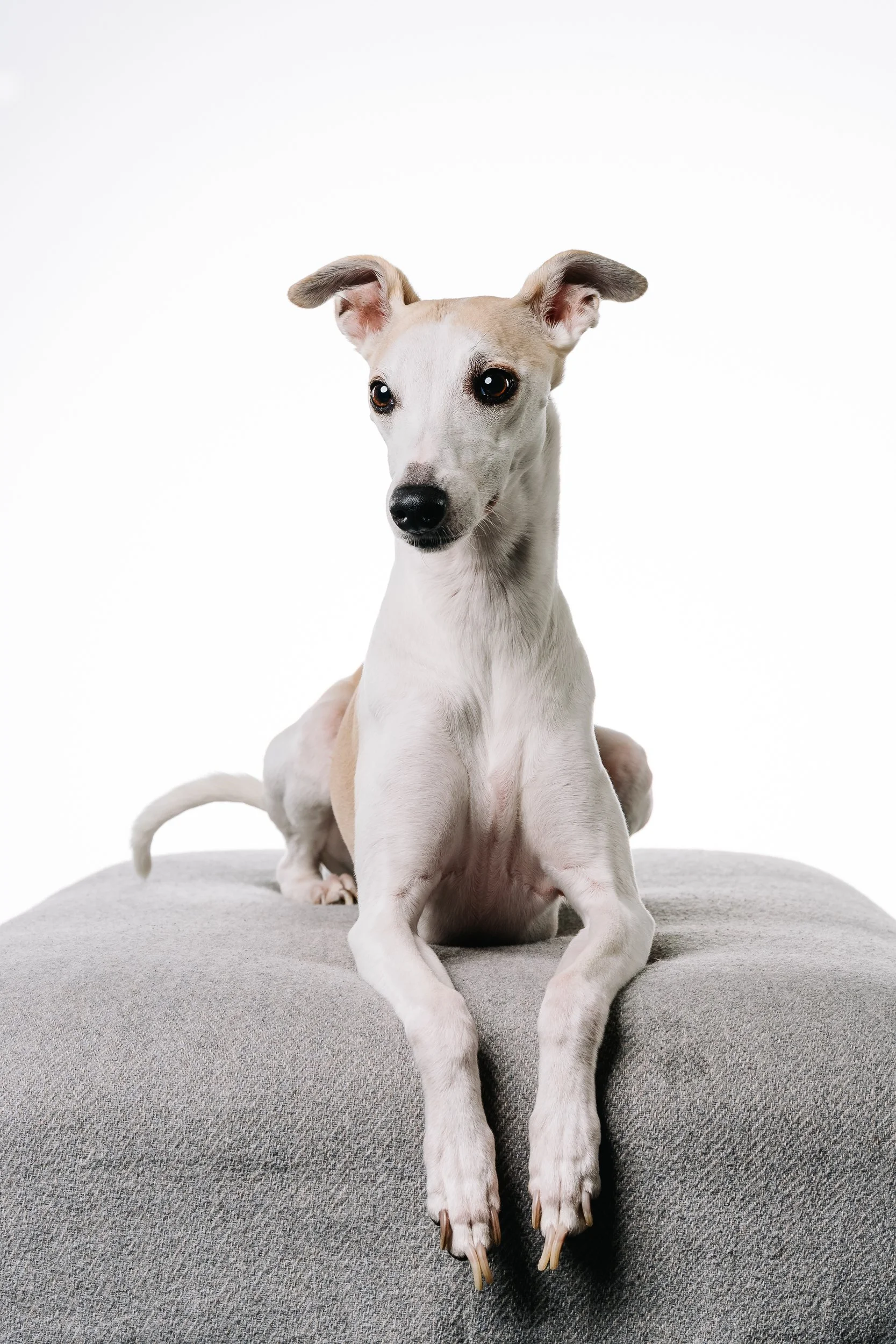 260125_Grace Amelie Raisin_021.jpg