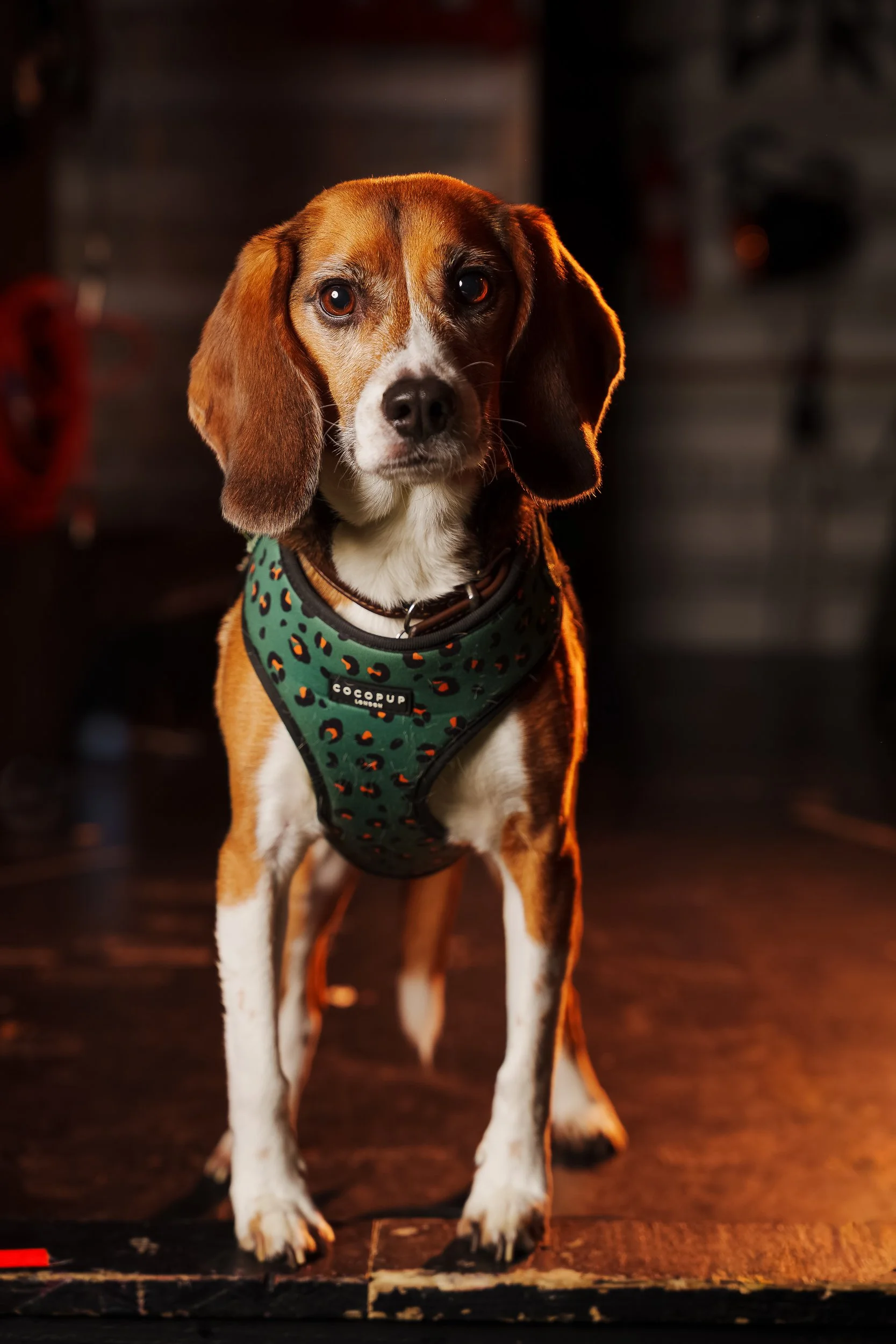 260101_Mark Holland Photography_267_1.jpg