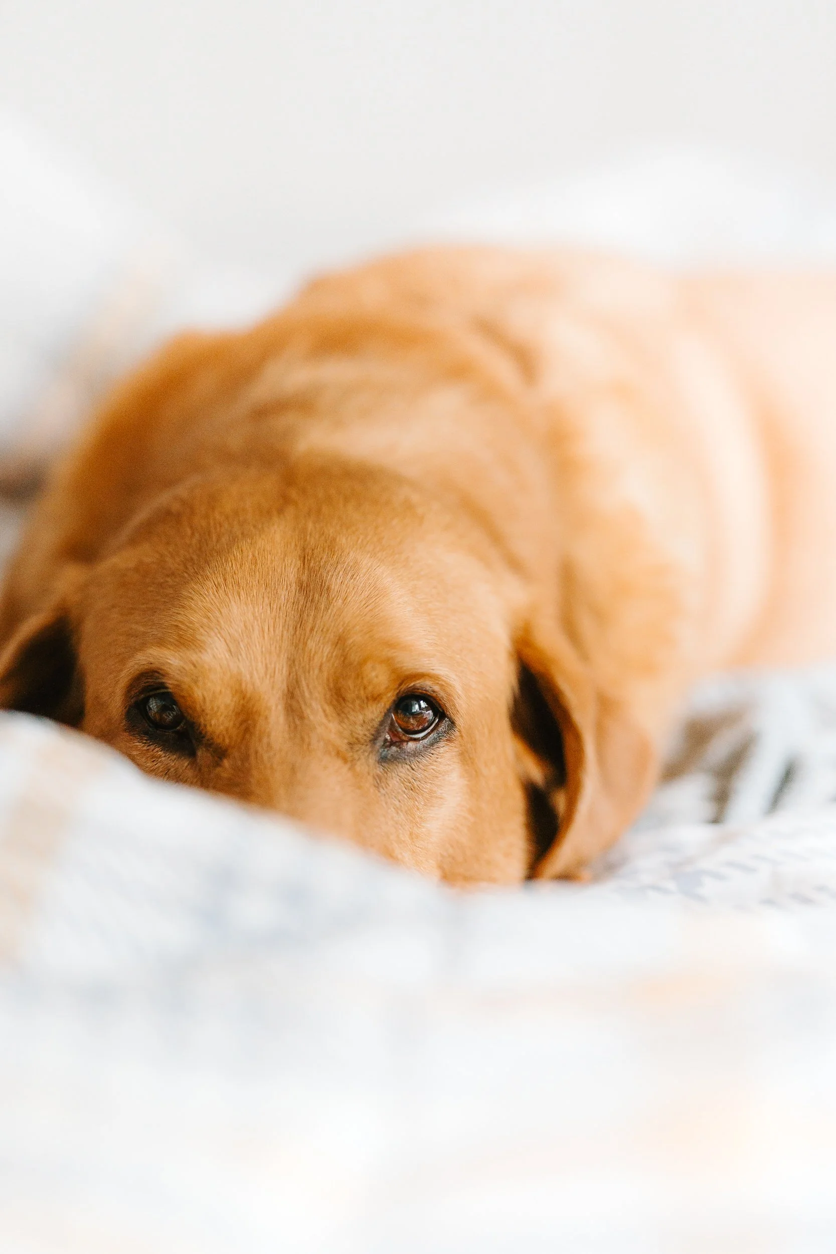 250531_Otis Sleepy_011.jpg