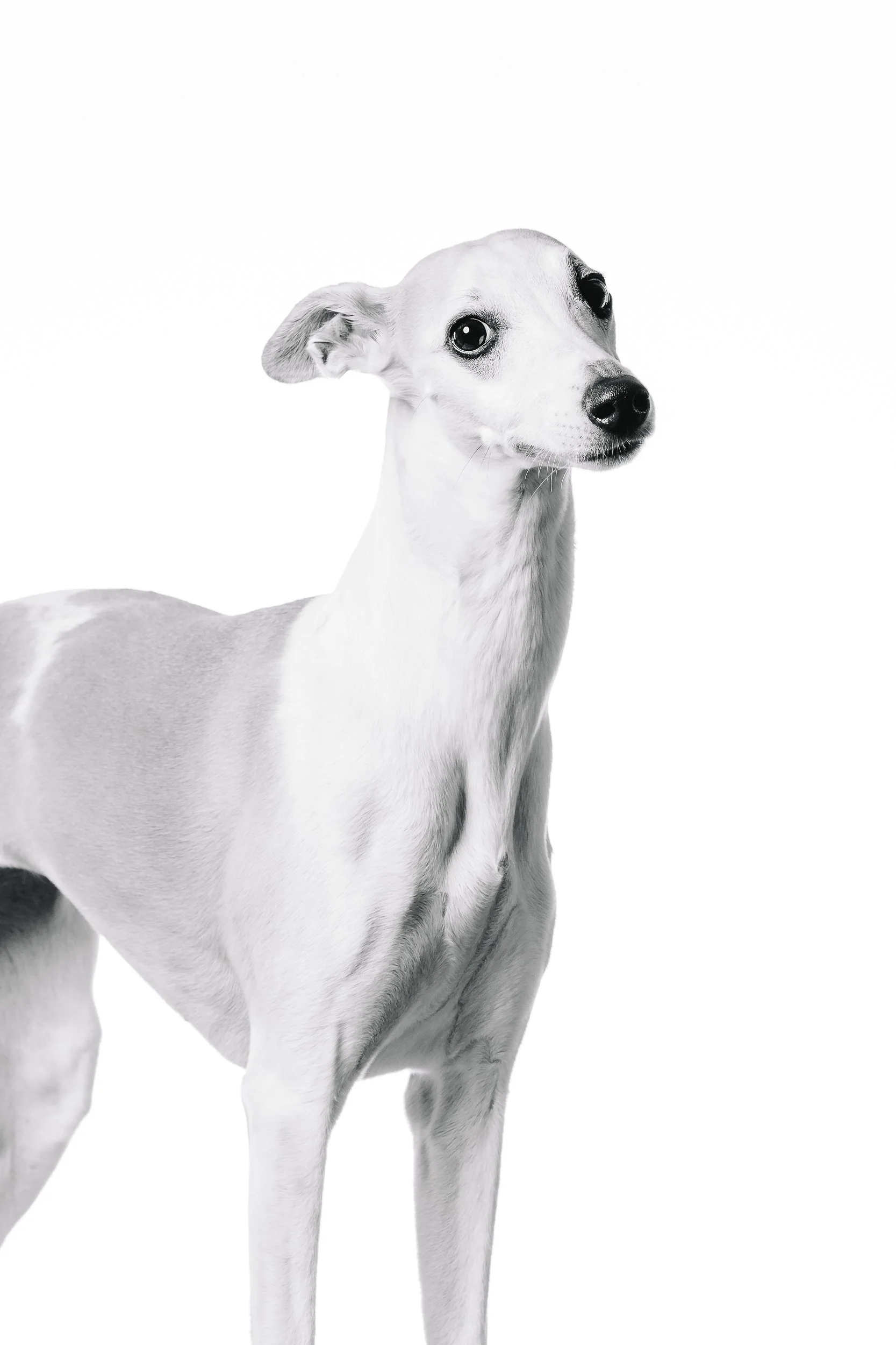 260125_Grace Amelie Raisin_016.jpg