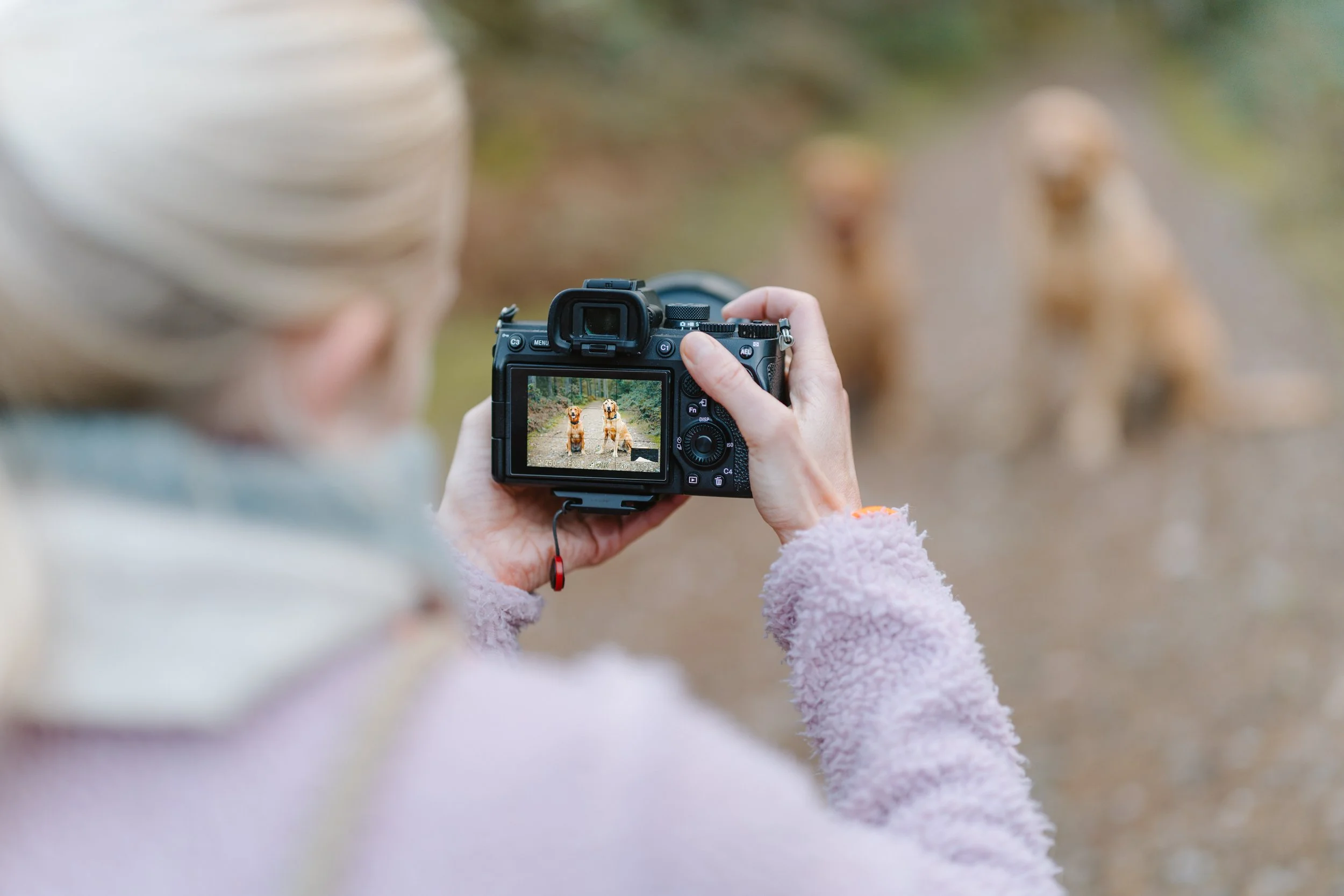 Woman walking with a dog on a forest path in autumn during outdoor photoshoot by Mark Holland Photography