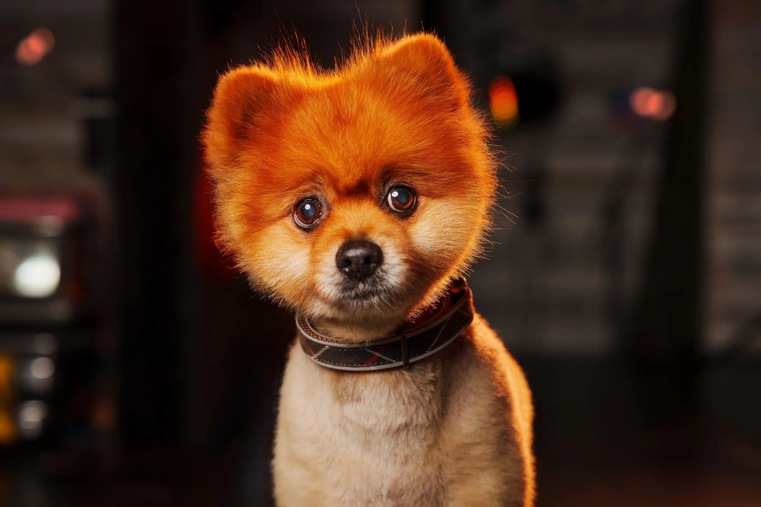 260101_Mark Holland Photography_409_2.jpg