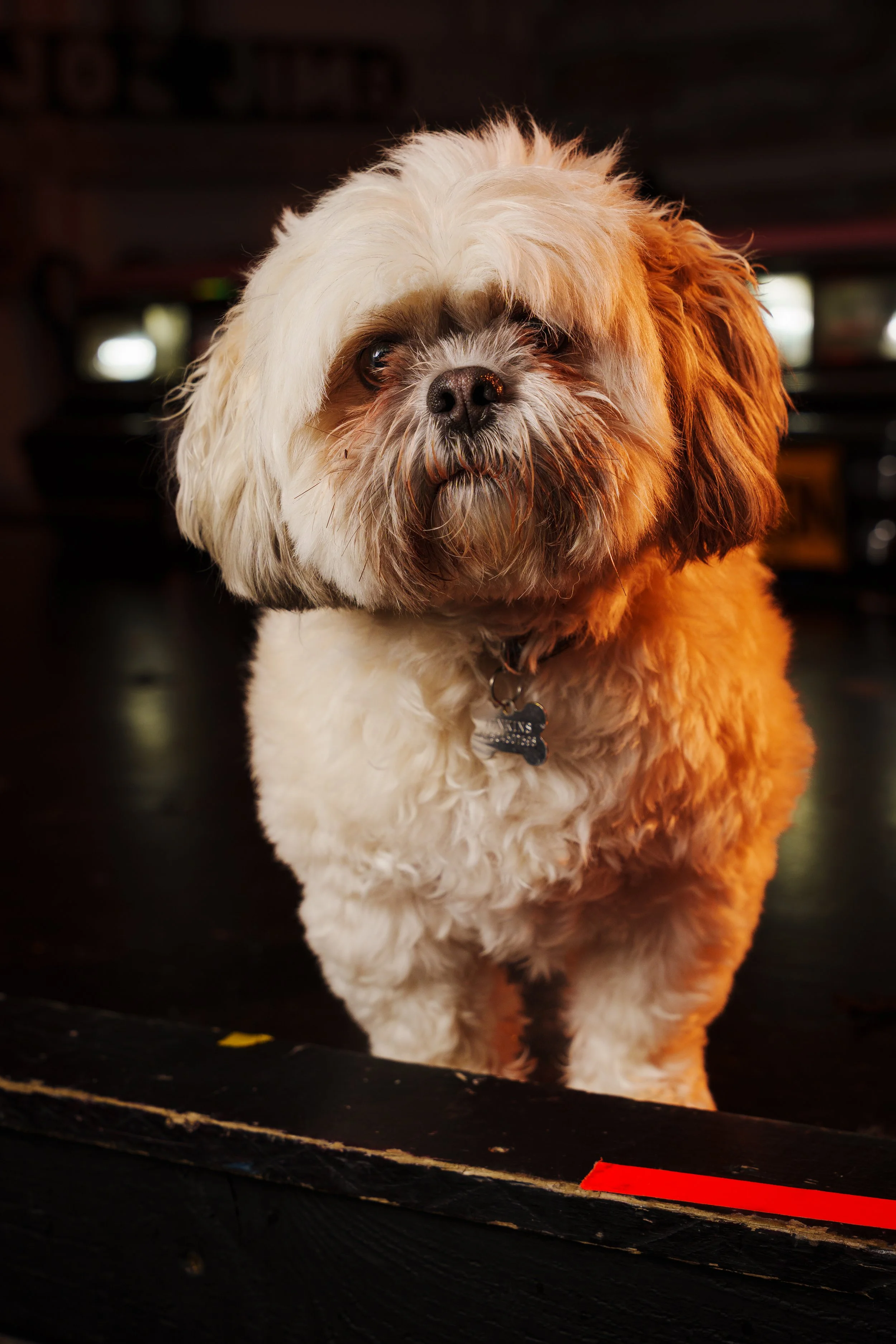 260101_Mark Holland Photography_054.jpg