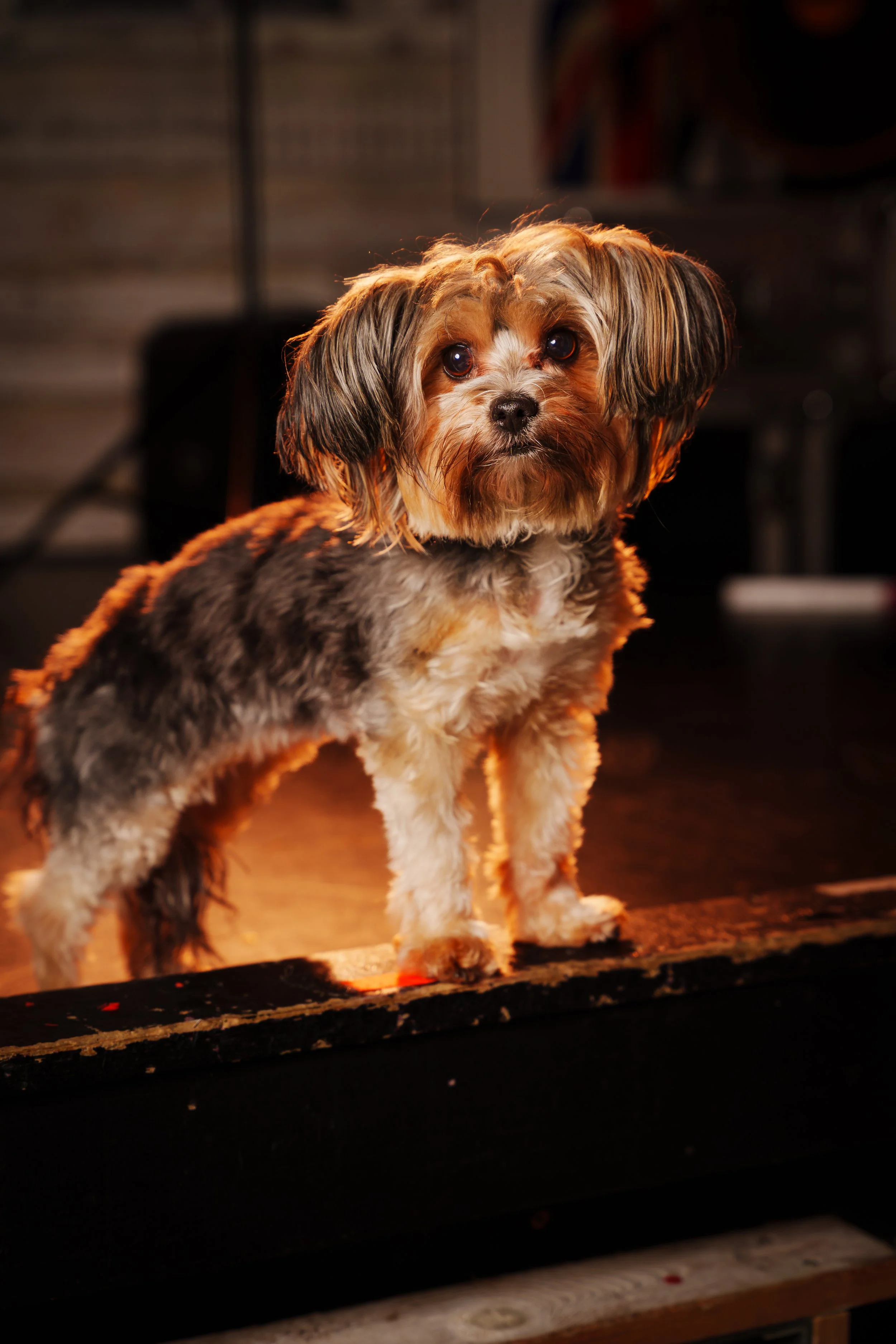 260101_Mark Holland Photography_234.jpg