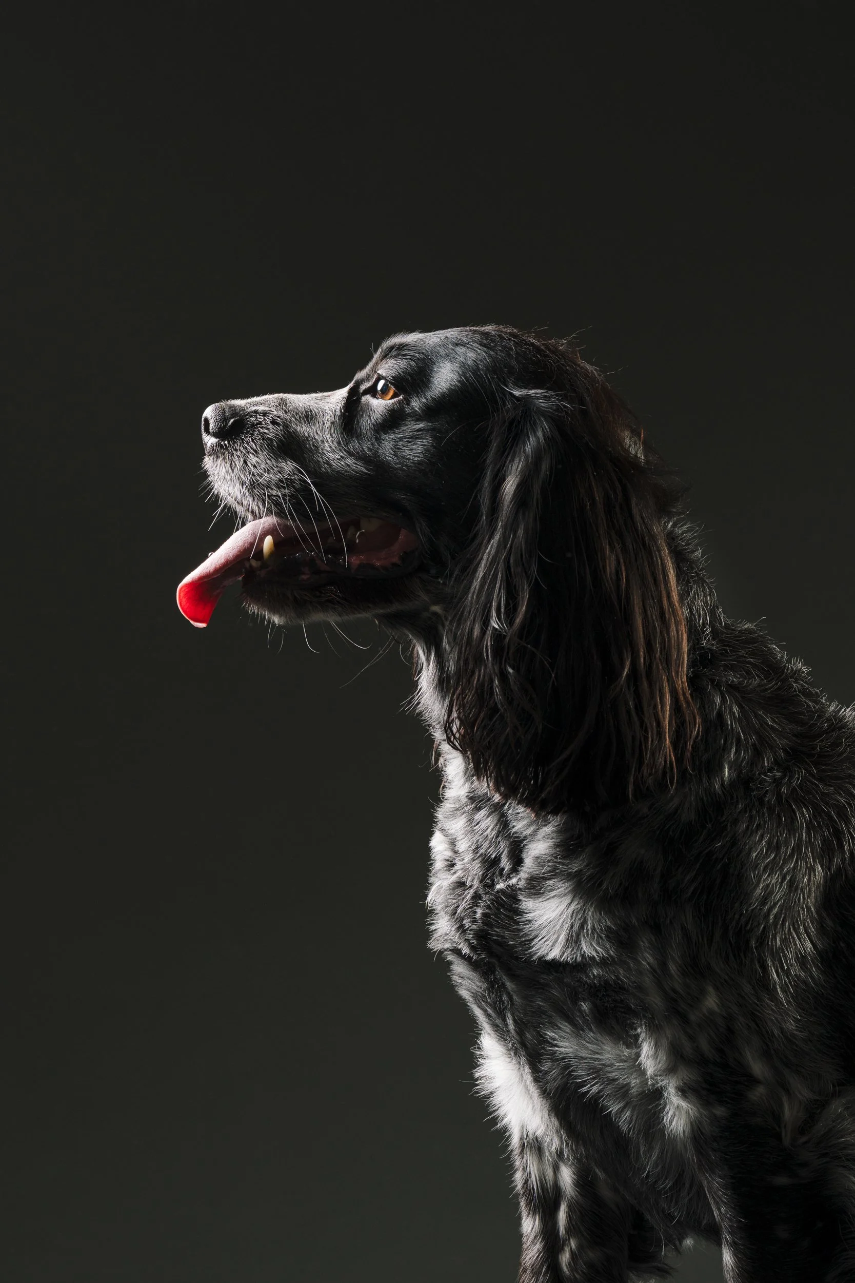 MHP_Hartley Jasper_05.jpg