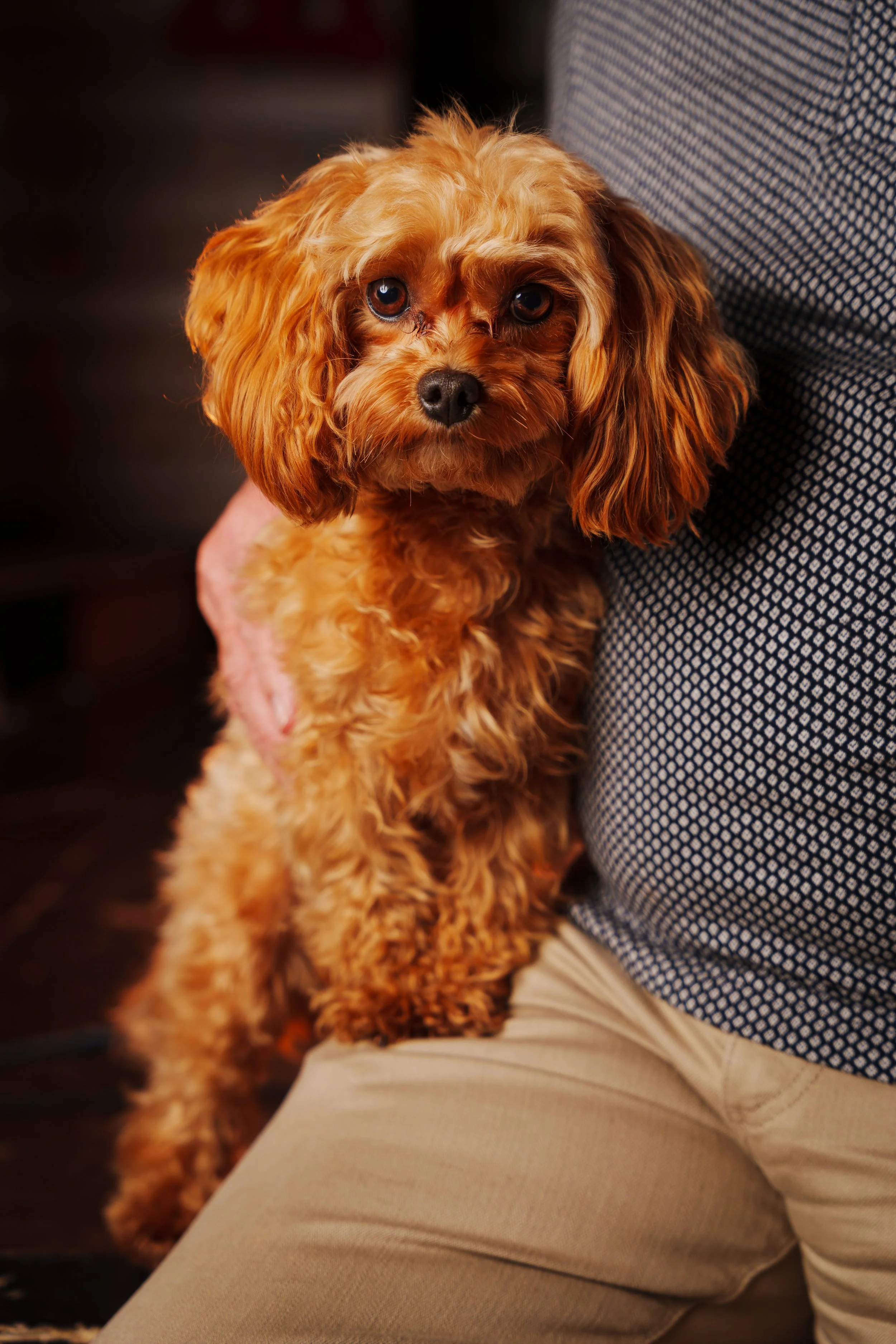 260101_Mark Holland Photography_465.jpg