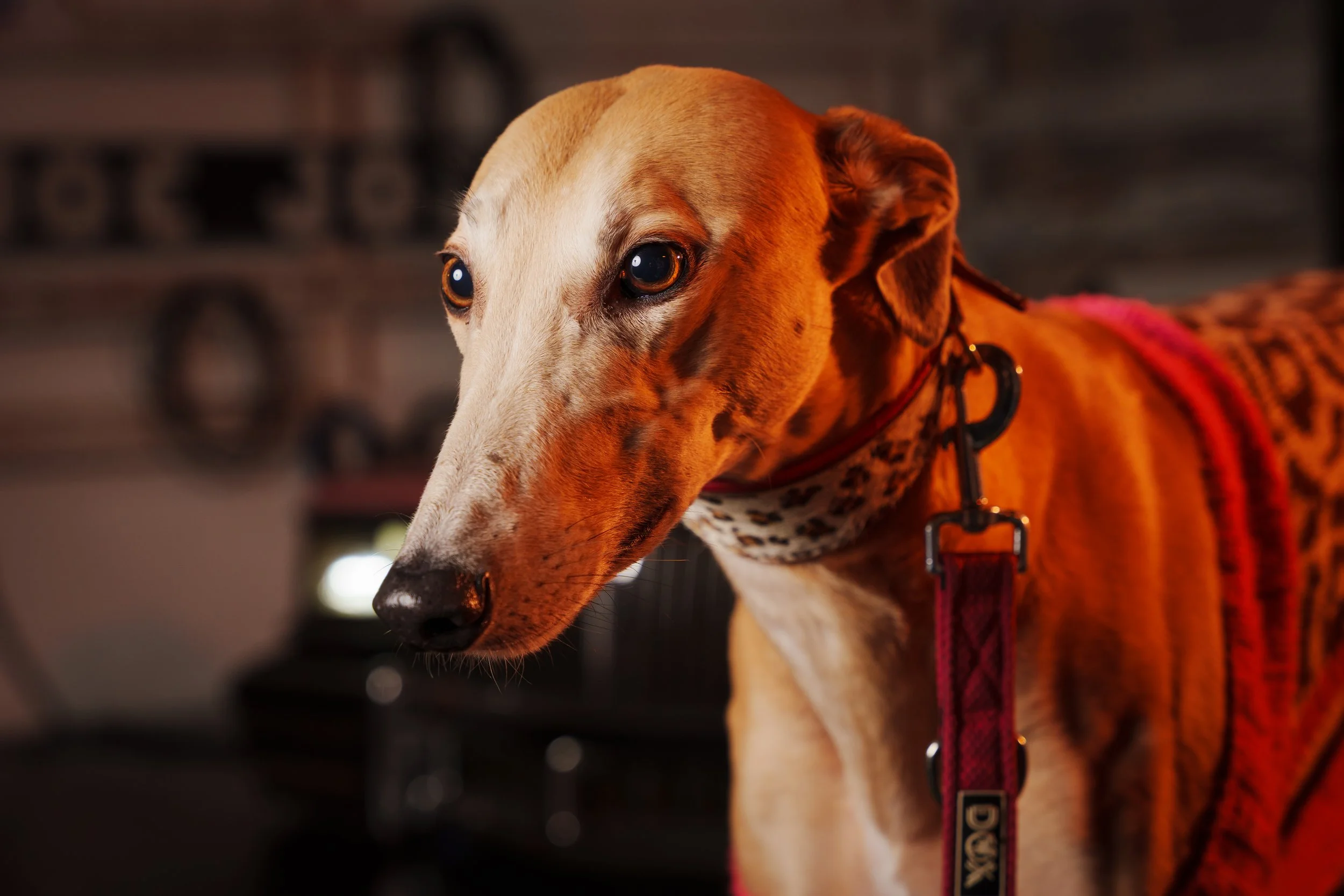 260101_Mark Holland Photography_043.jpg