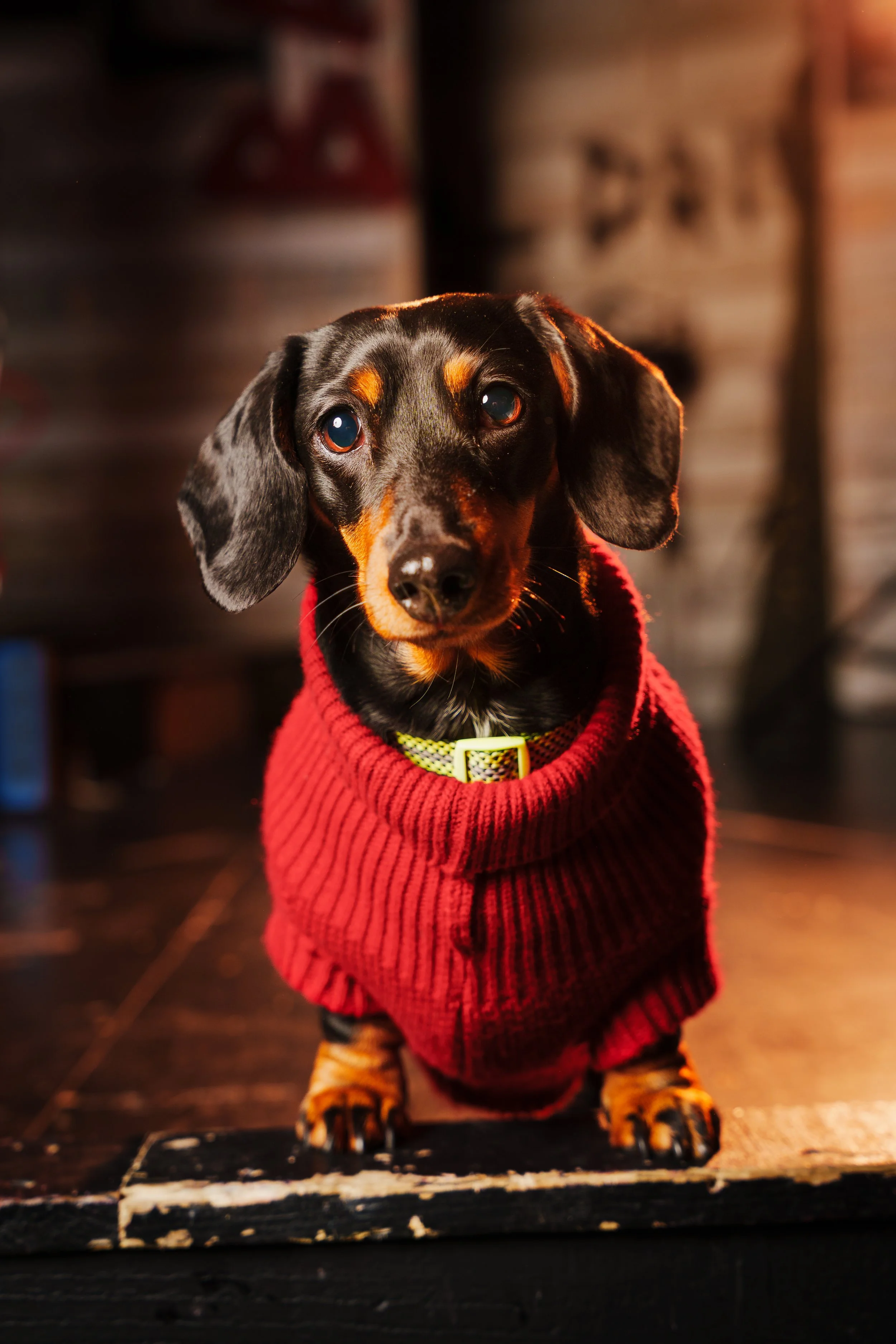 260101_Mark Holland Photography_475.jpg