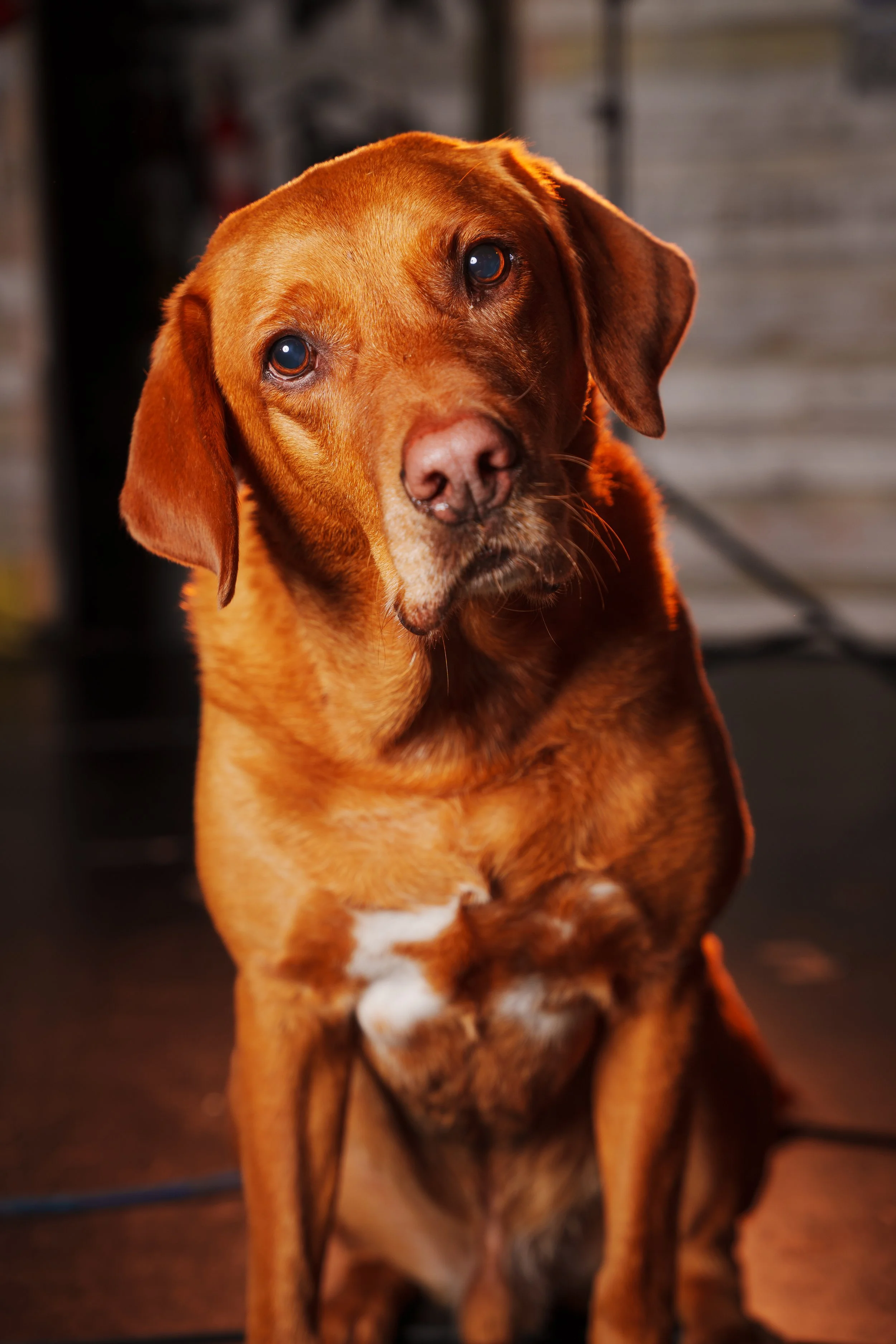 260101_Mark Holland Photography_457.jpg