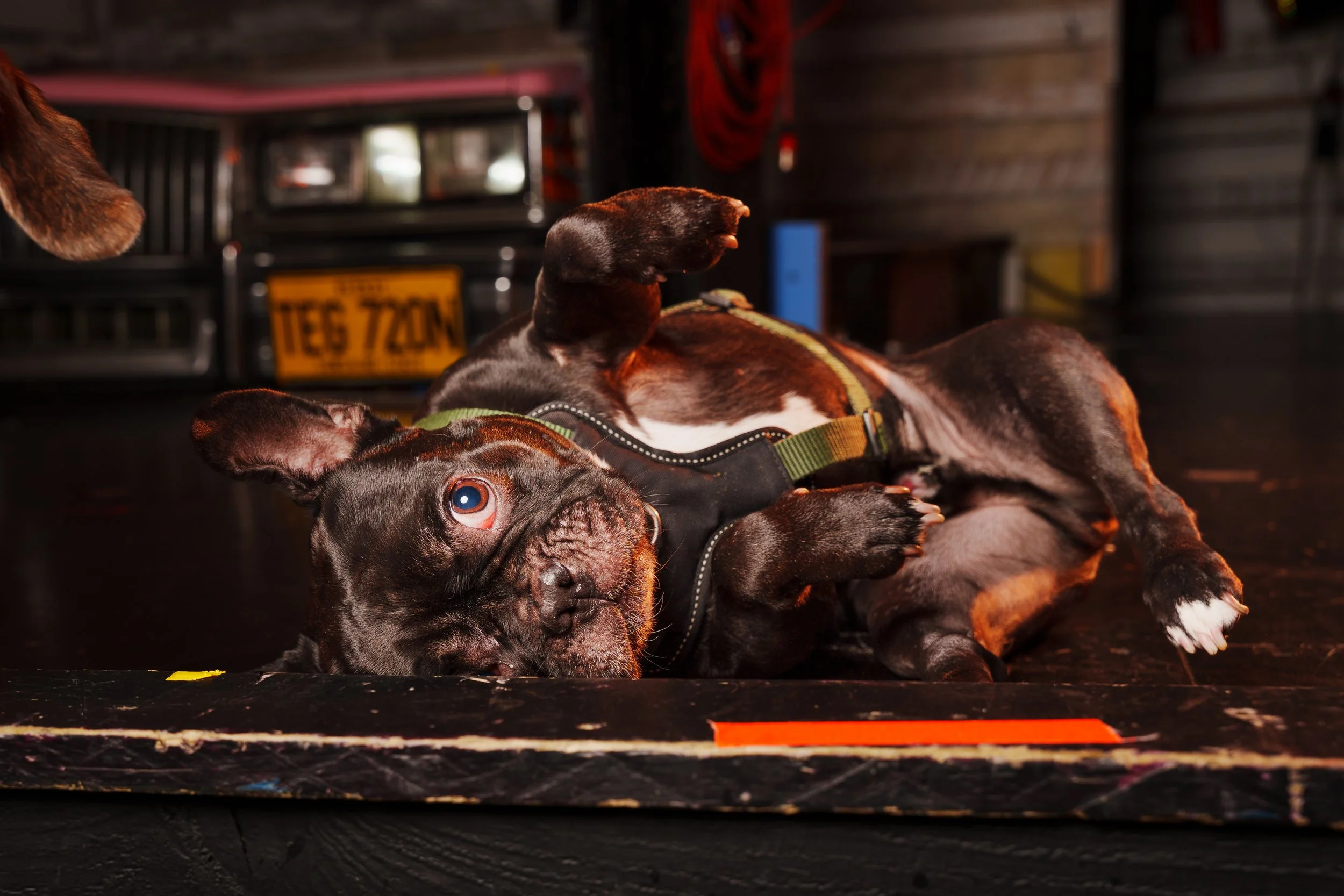 260101_Mark Holland Photography_174.jpg