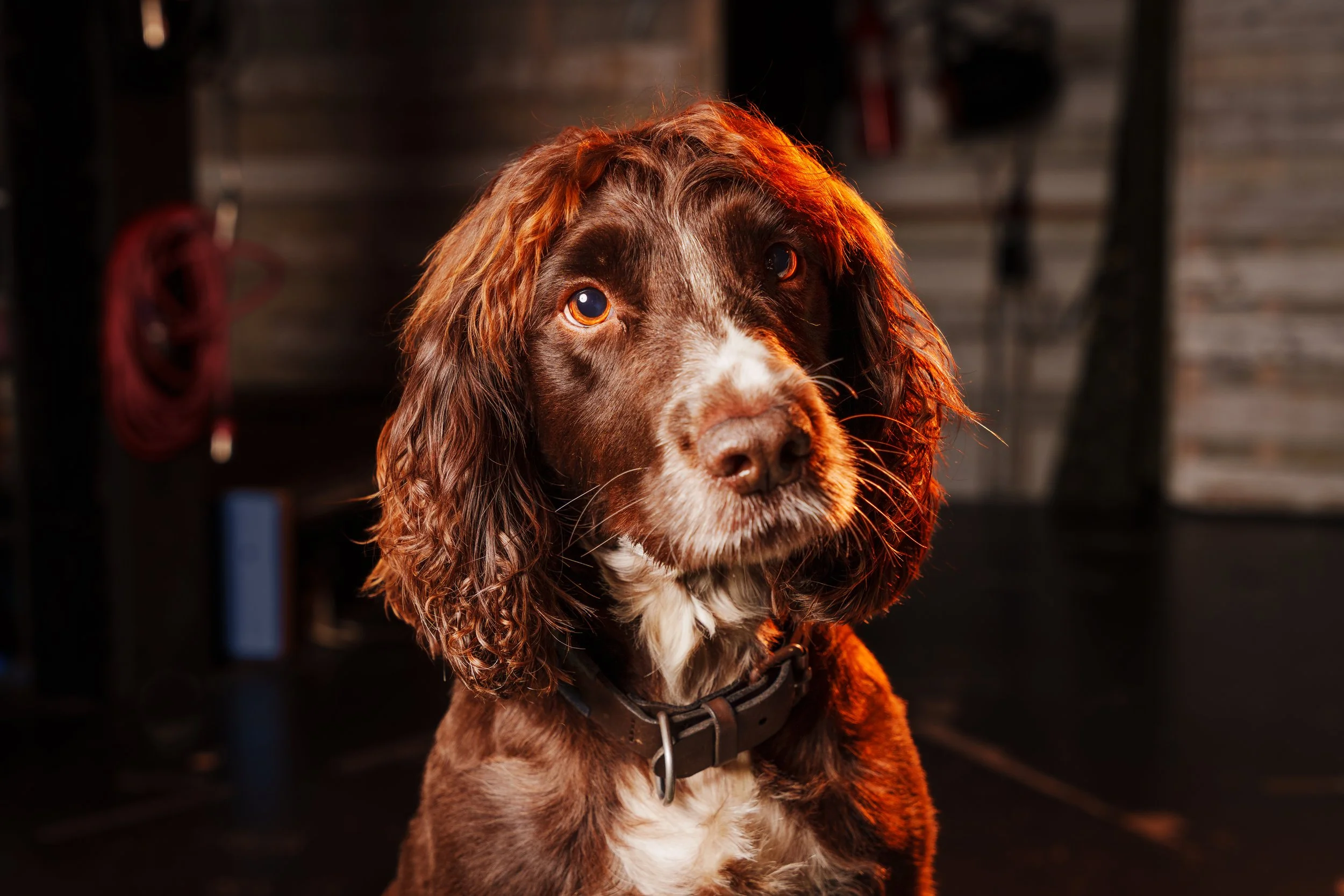 260101_Mark Holland Photography_200.jpg