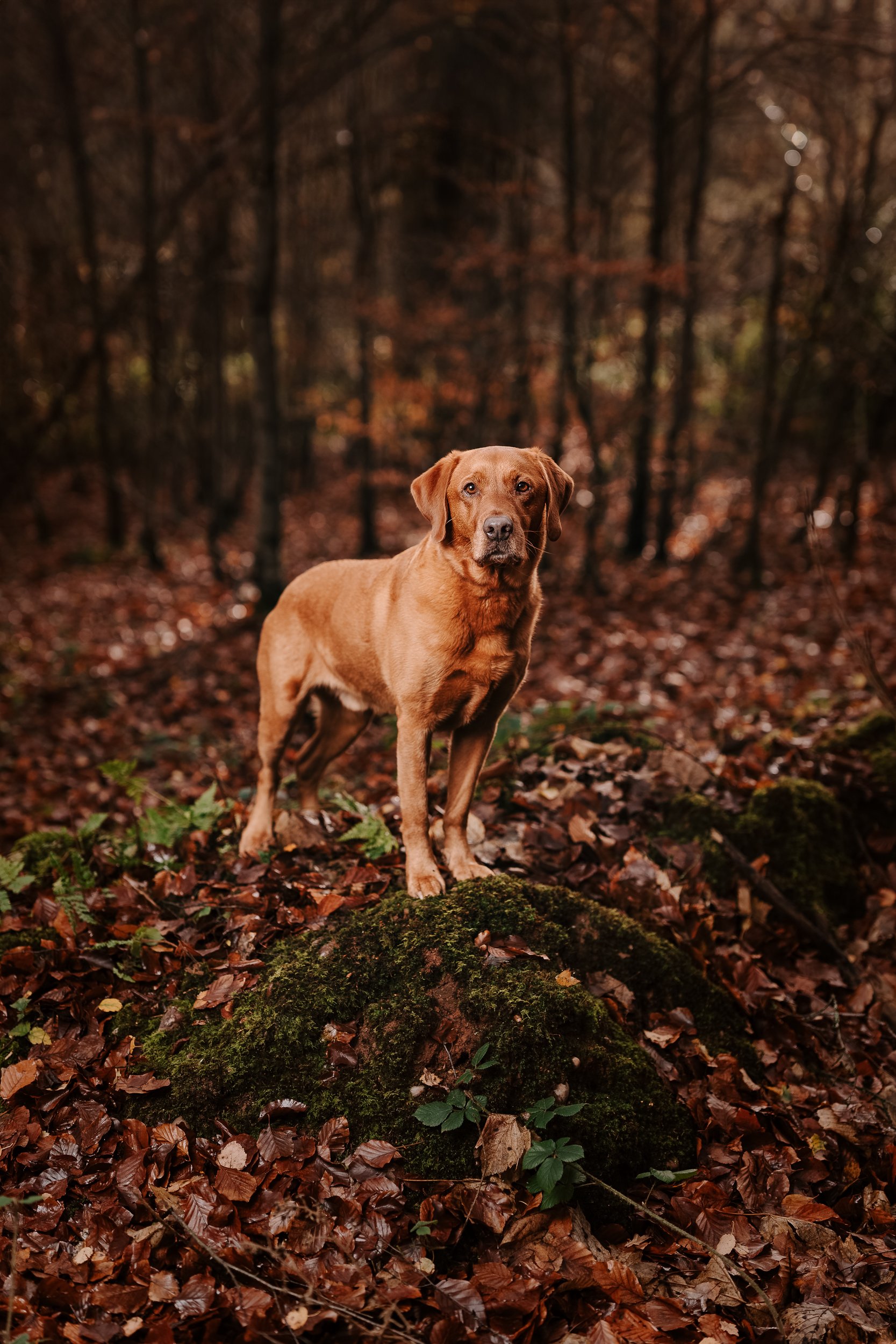 251123_Benjy Strobe_017.jpg