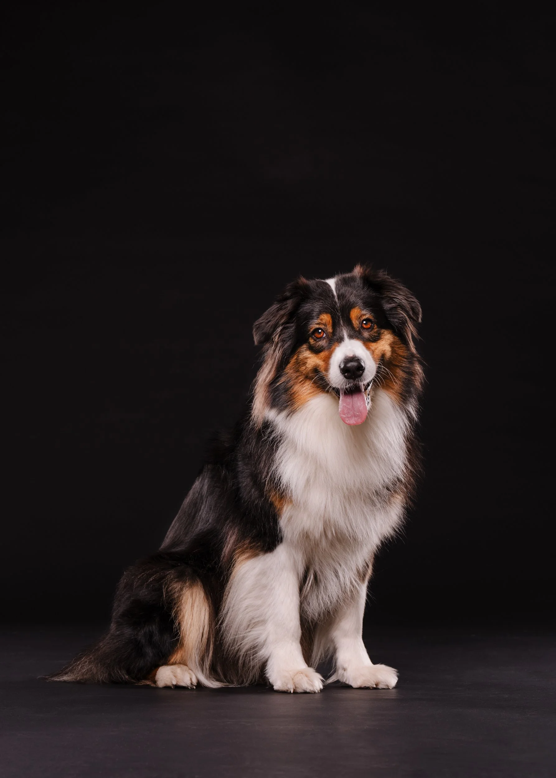 260331_Dizzy Milo_008.jpg