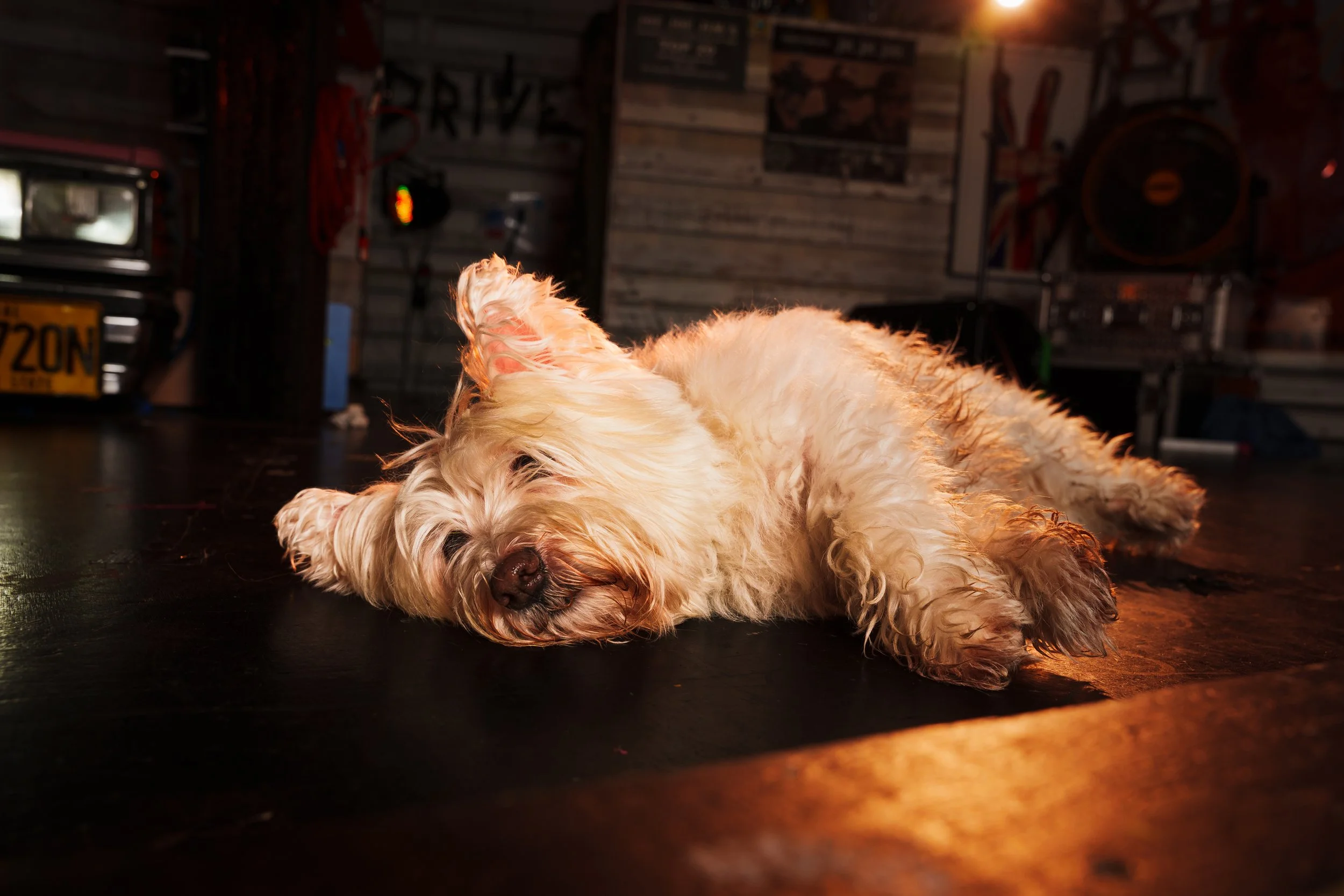 260101_Mark Holland Photography_086.jpg