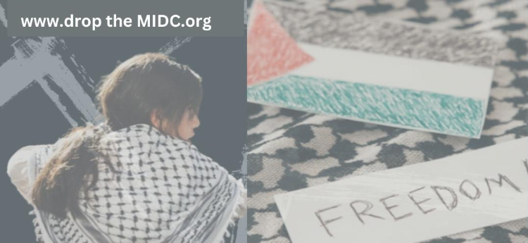 Child wearing a keffiyeh with Palestinian flag and word "freedom" on paper, website "www.dropthemidc.org" displayed.