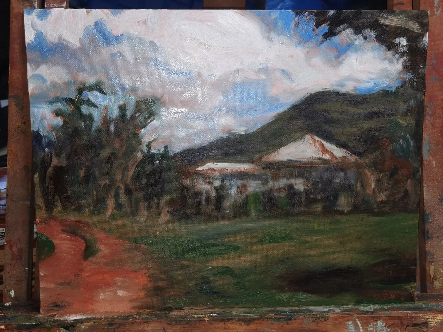 Citrus Farm, Belize. 
11&times;14 oil sketch on canvas panel