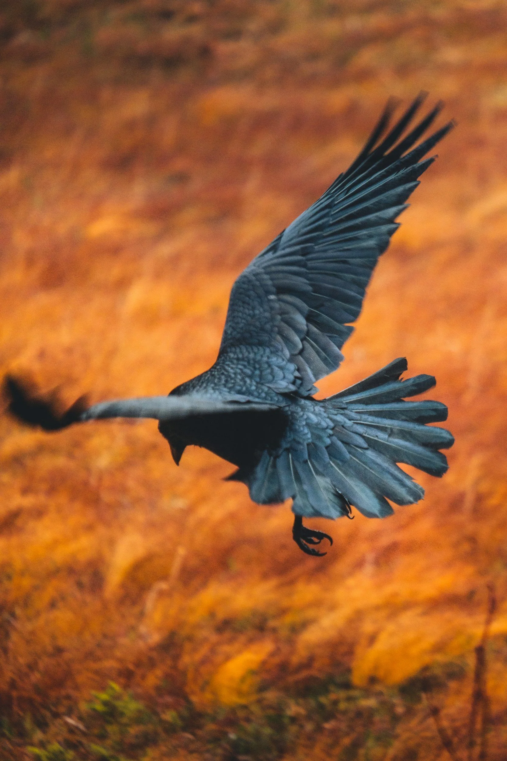 unsplash-image-5G4ntGM2v-8.jpg
