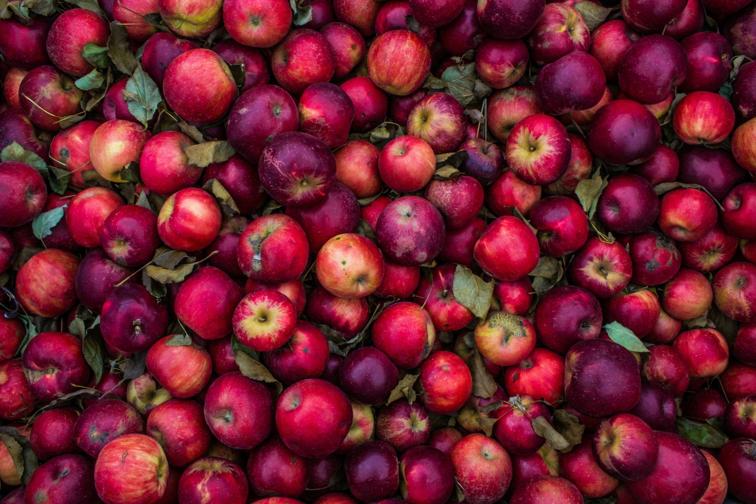 unsplash-image-_5TGspSCIdw.jpg