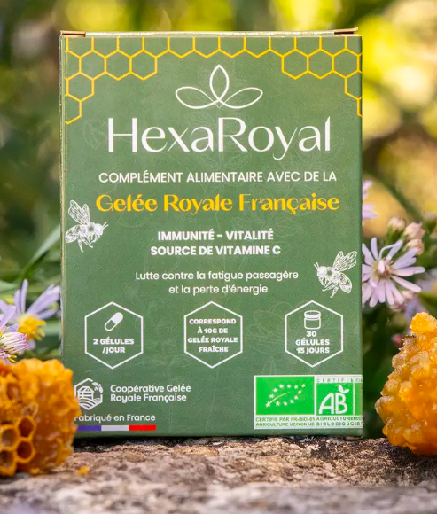 Capture d’écran 2026-01-19 à 15.58.53.png